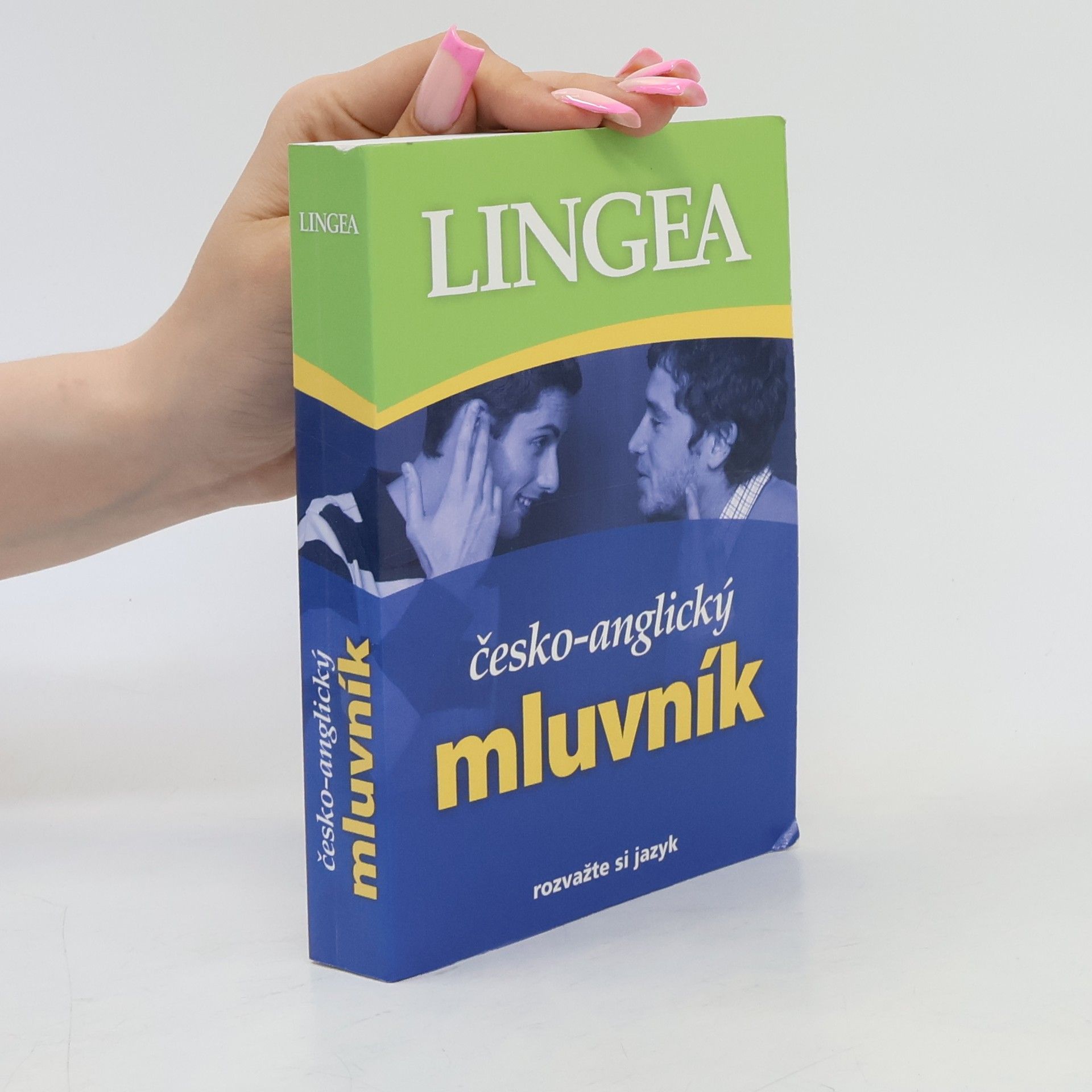 Kolektiv autorů Česko-anglický mluvník