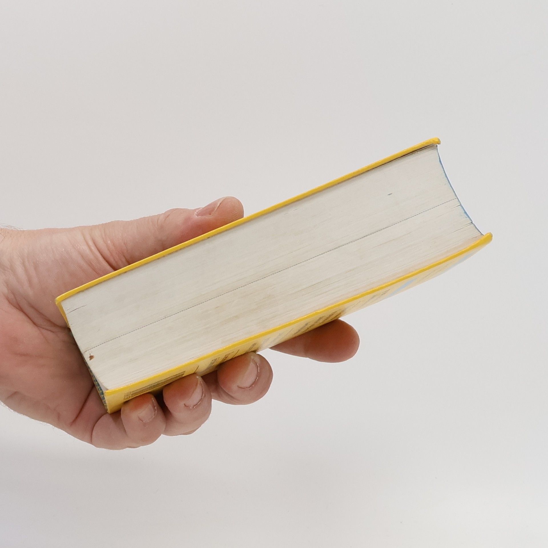 Rolf Ulbrich Langenscheidts Taschenwörterbuch der tschechischen und deutschen Sprache
