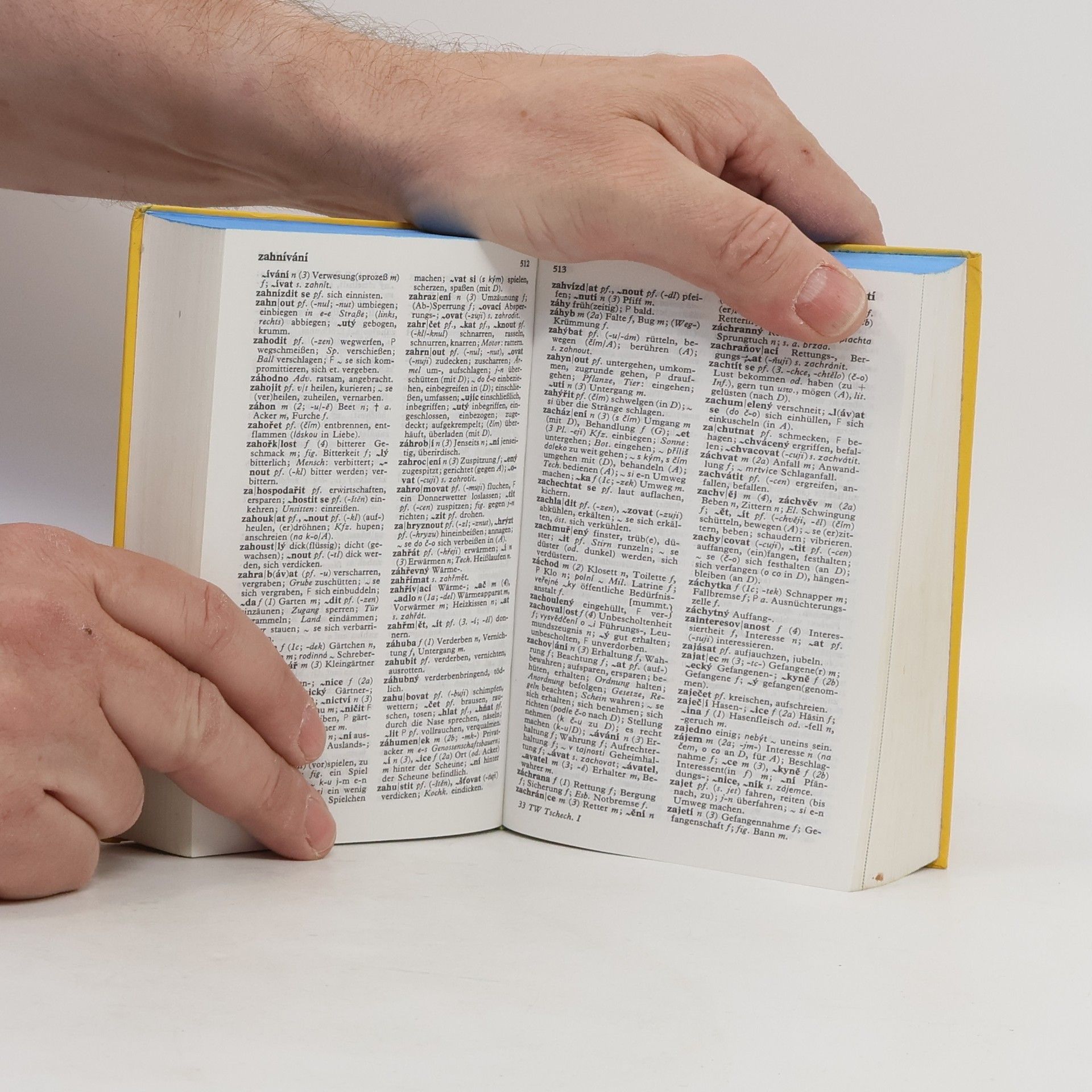 Rolf Ulbrich Langenscheidts Taschenwörterbuch der tschechischen und deutschen Sprache