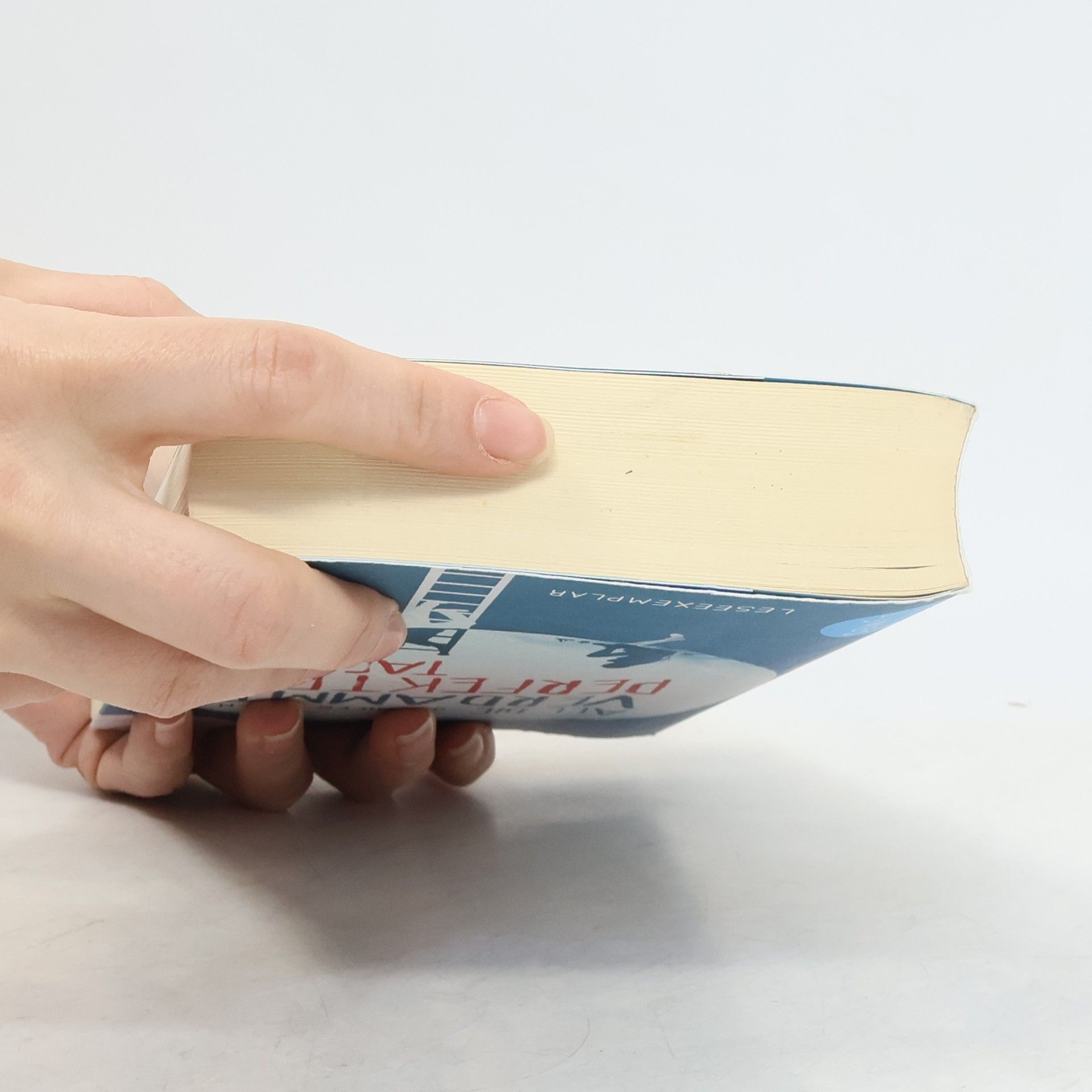 Jennifer Niven All die verdammt perfekten Tage