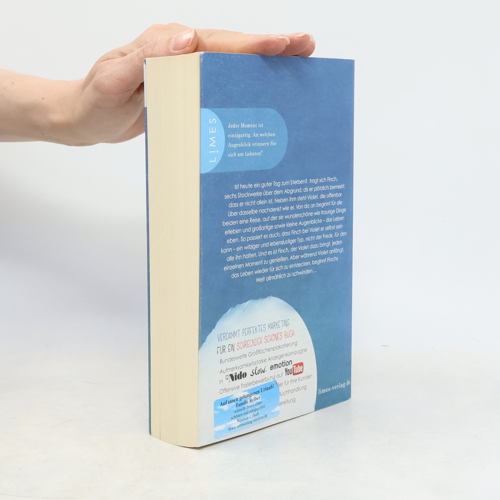 Jennifer Niven All die verdammt perfekten Tage