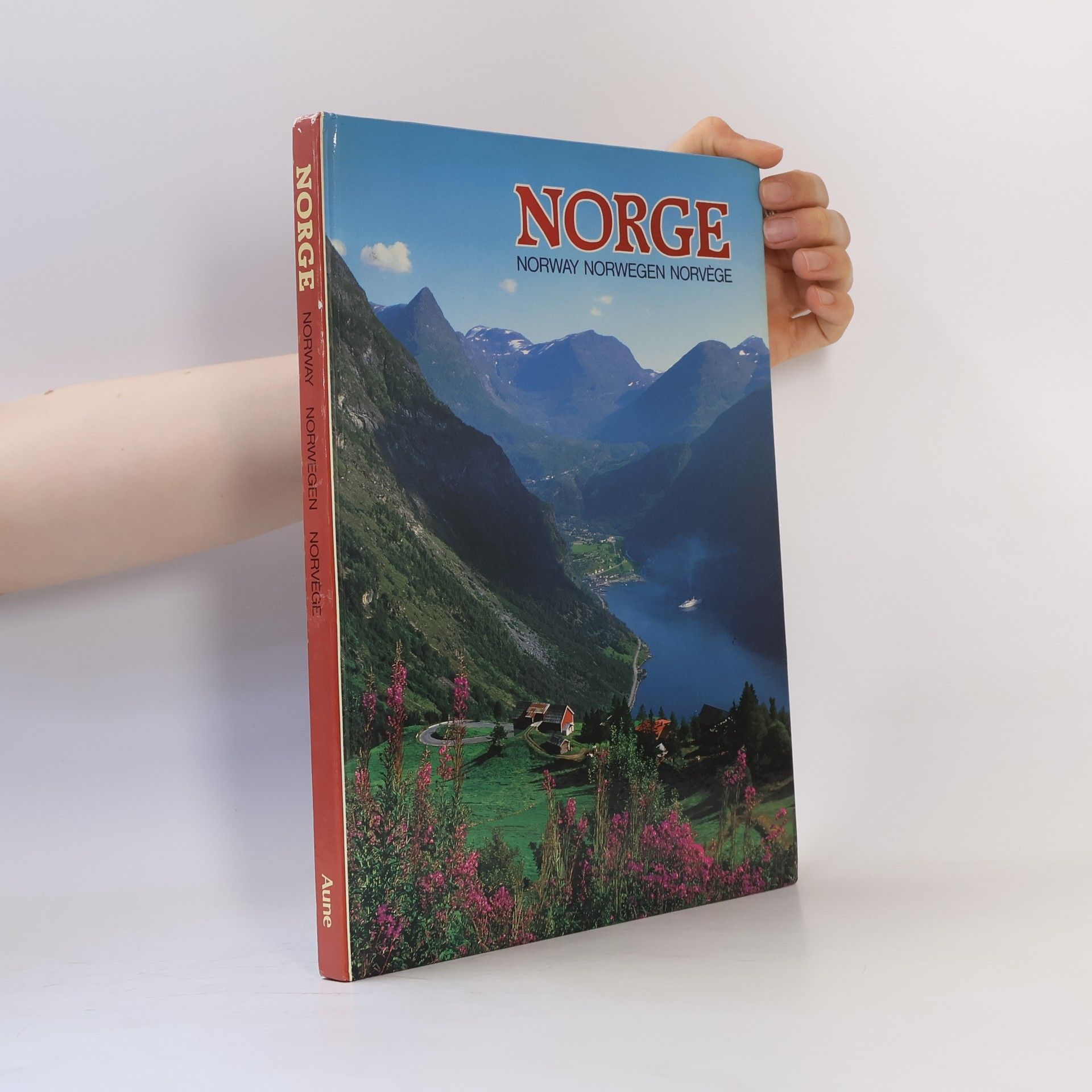 Autorenkollektiv NORGE. Norway Norwegen Norvege