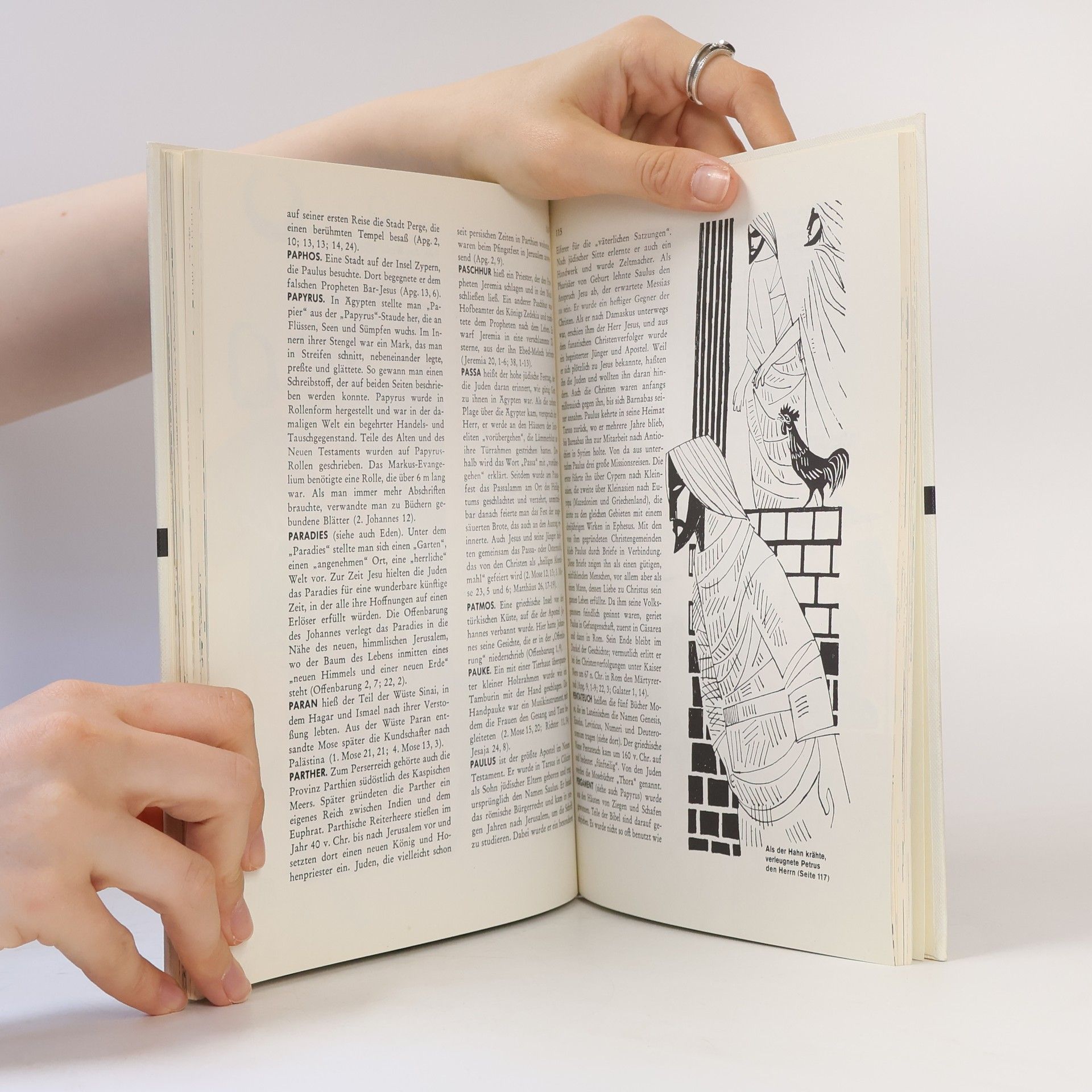 Cecil Northcott Biblisches Lexikon für Jung und Alt