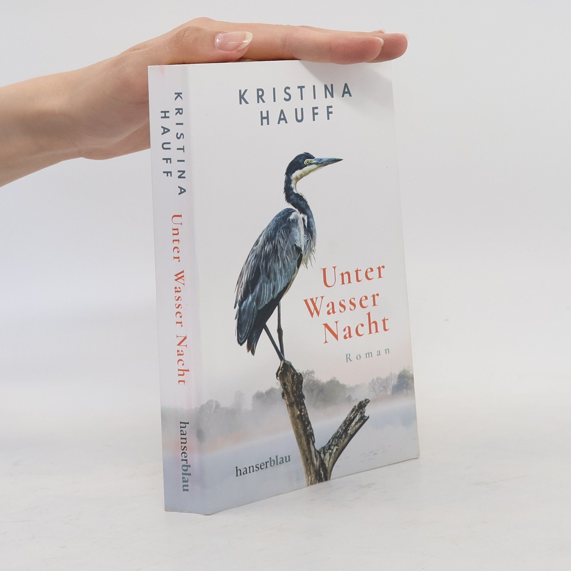 Kristina Hauff Unter Wasser Nacht