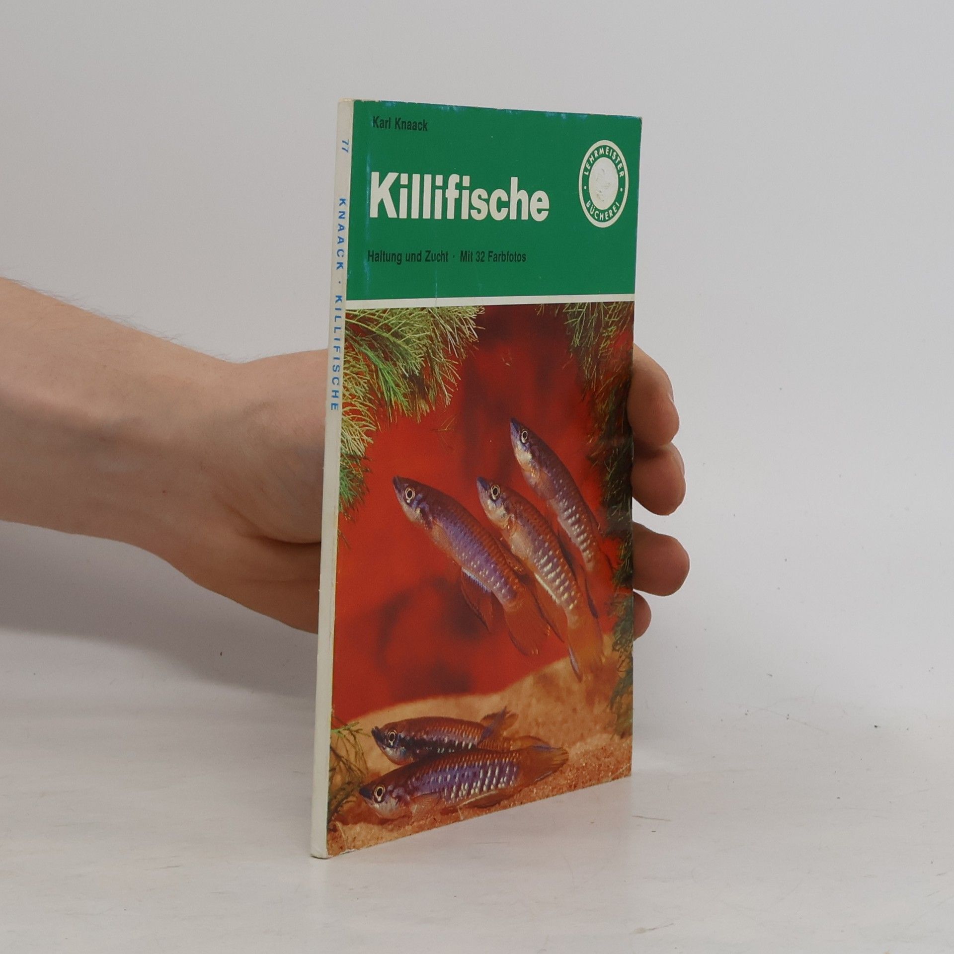Karl Knaack Killifische