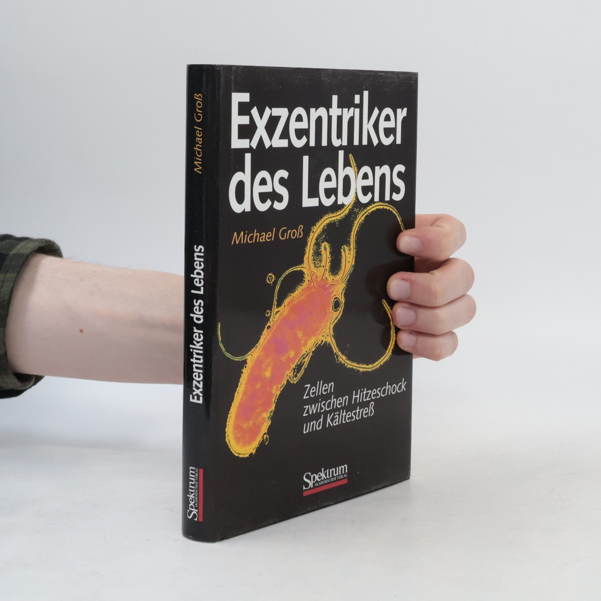 Michael Groß Exzentriker des Lebens