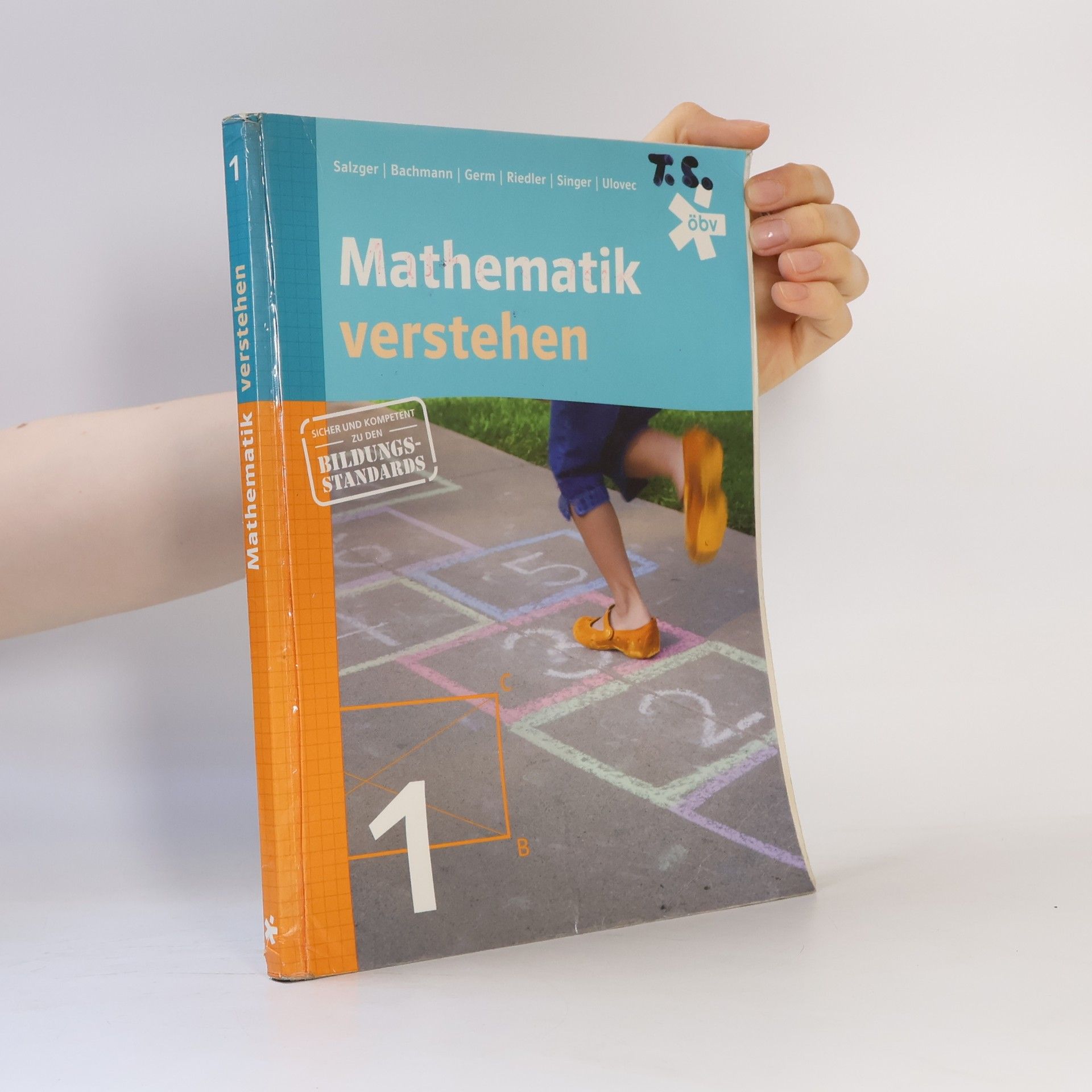 Bernhard Salzger Mathematik verstehen 1
