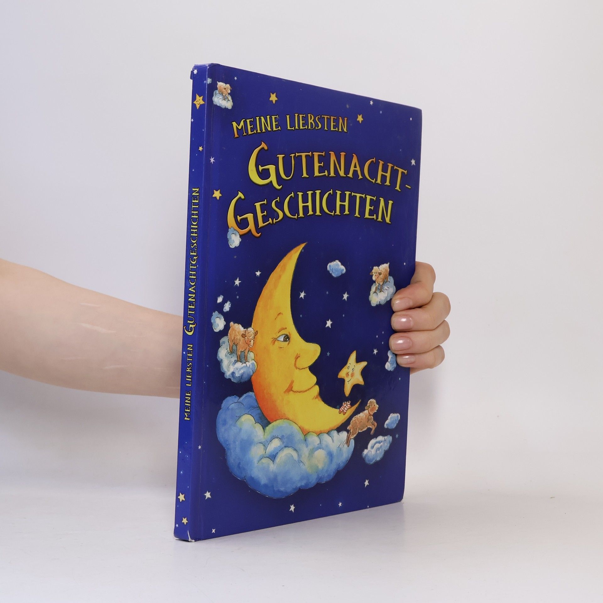 Autorenkollektiv Meine liebsten Gutenacht Geschichten