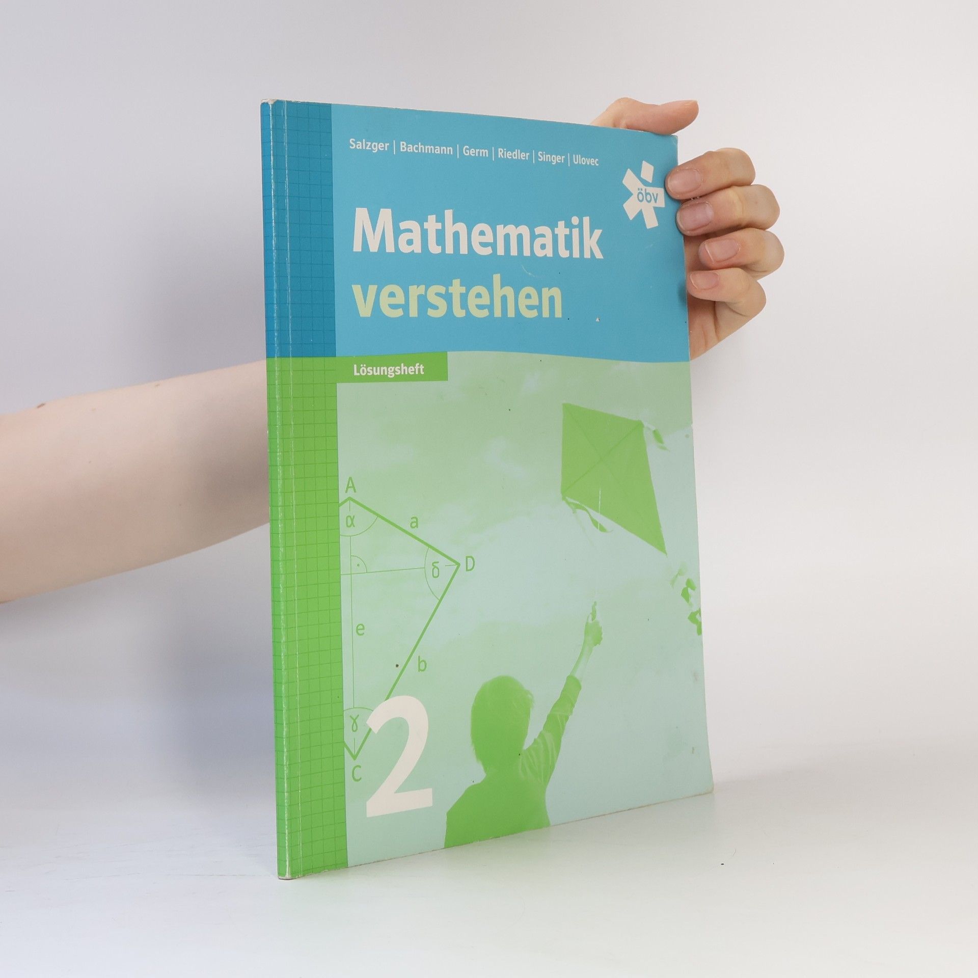 Collectif d'auteurs Mathematik verstehen 2