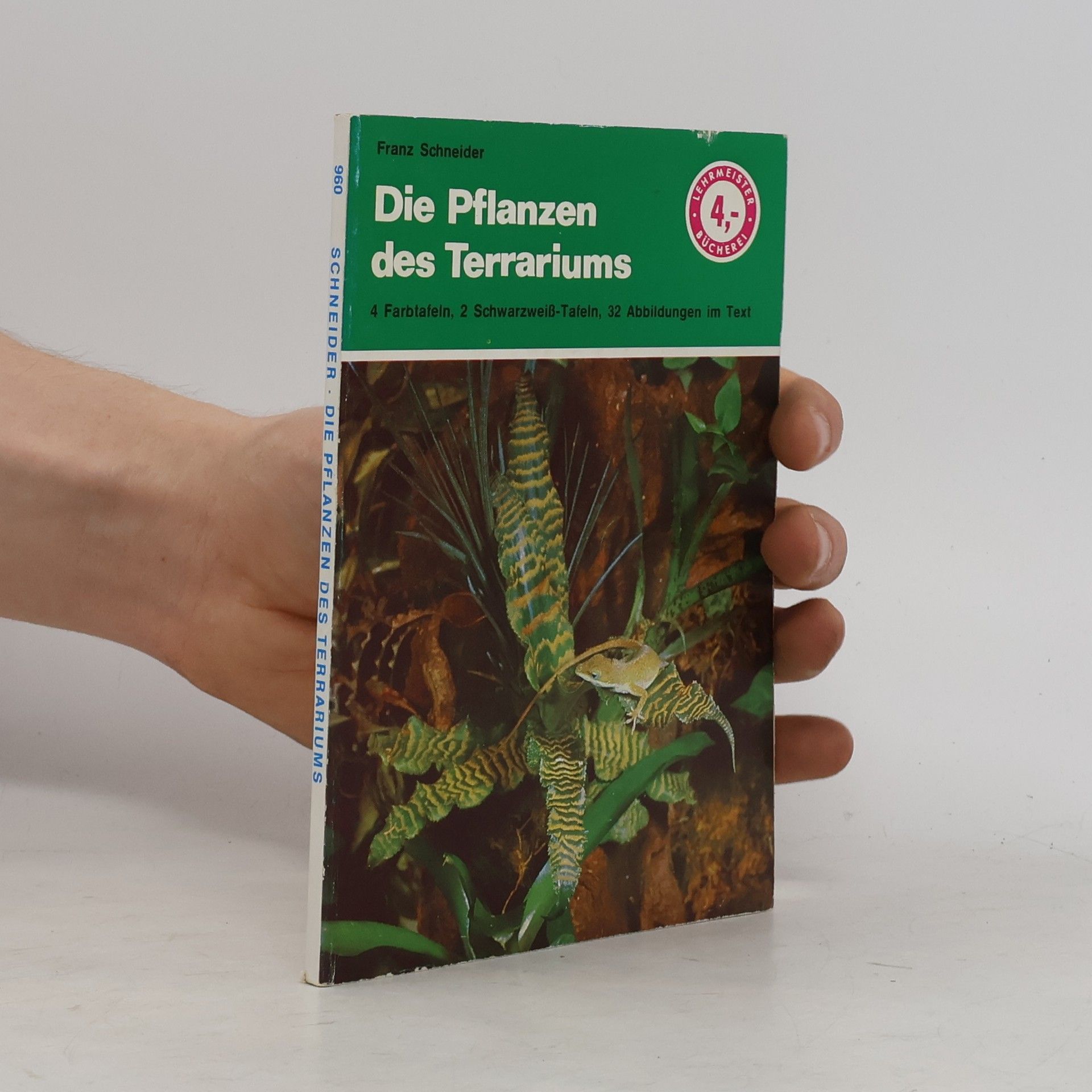Die Pflanzen des Terrariums