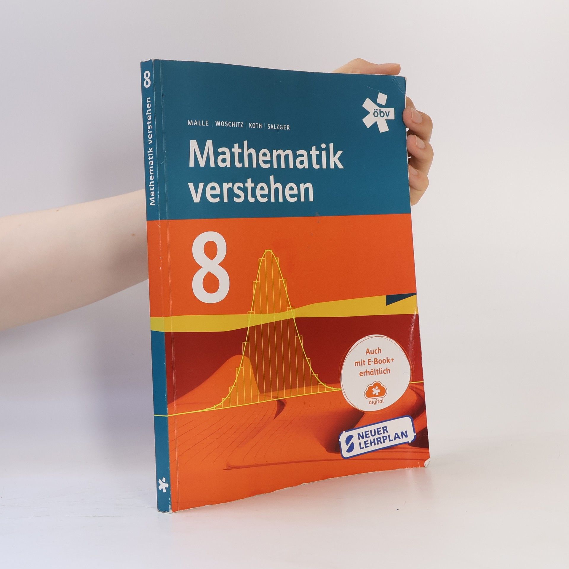 Günther Malle Mathematik verstehen 8