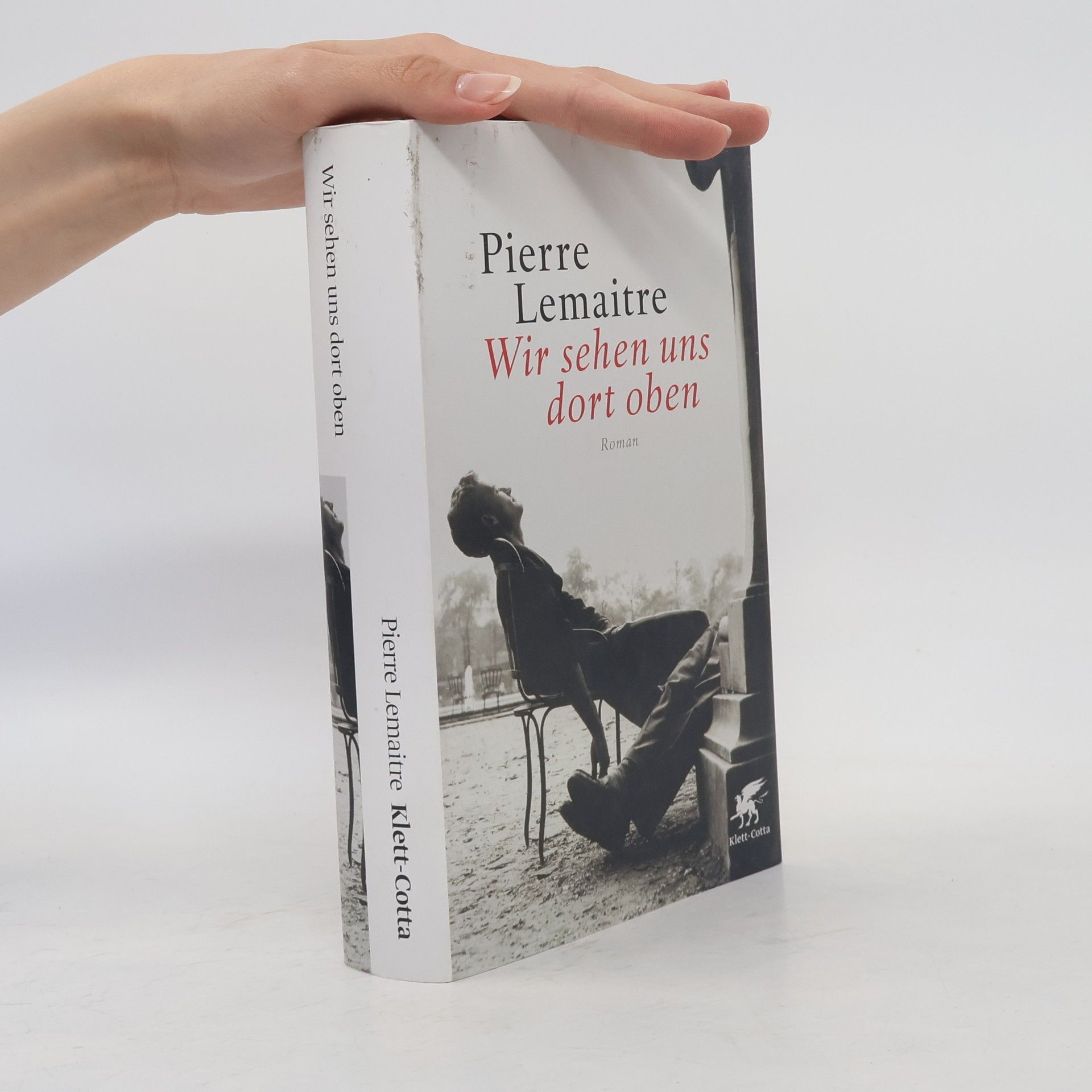 Pierre Lemaitre Wir sehen uns dort oben