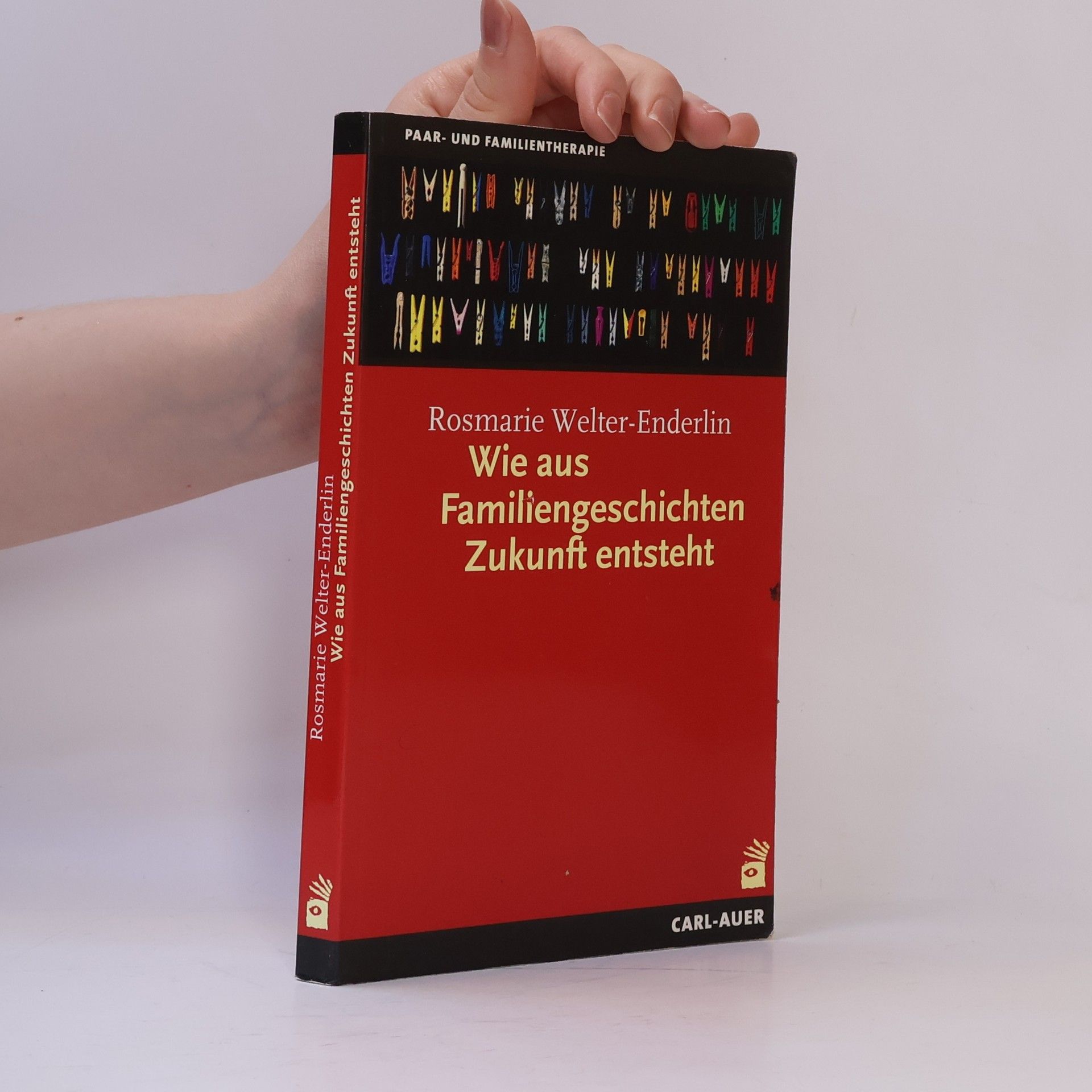 Rosmarie Welter Enderlin Wie aus Familiengeschichten Zukunft entsteht