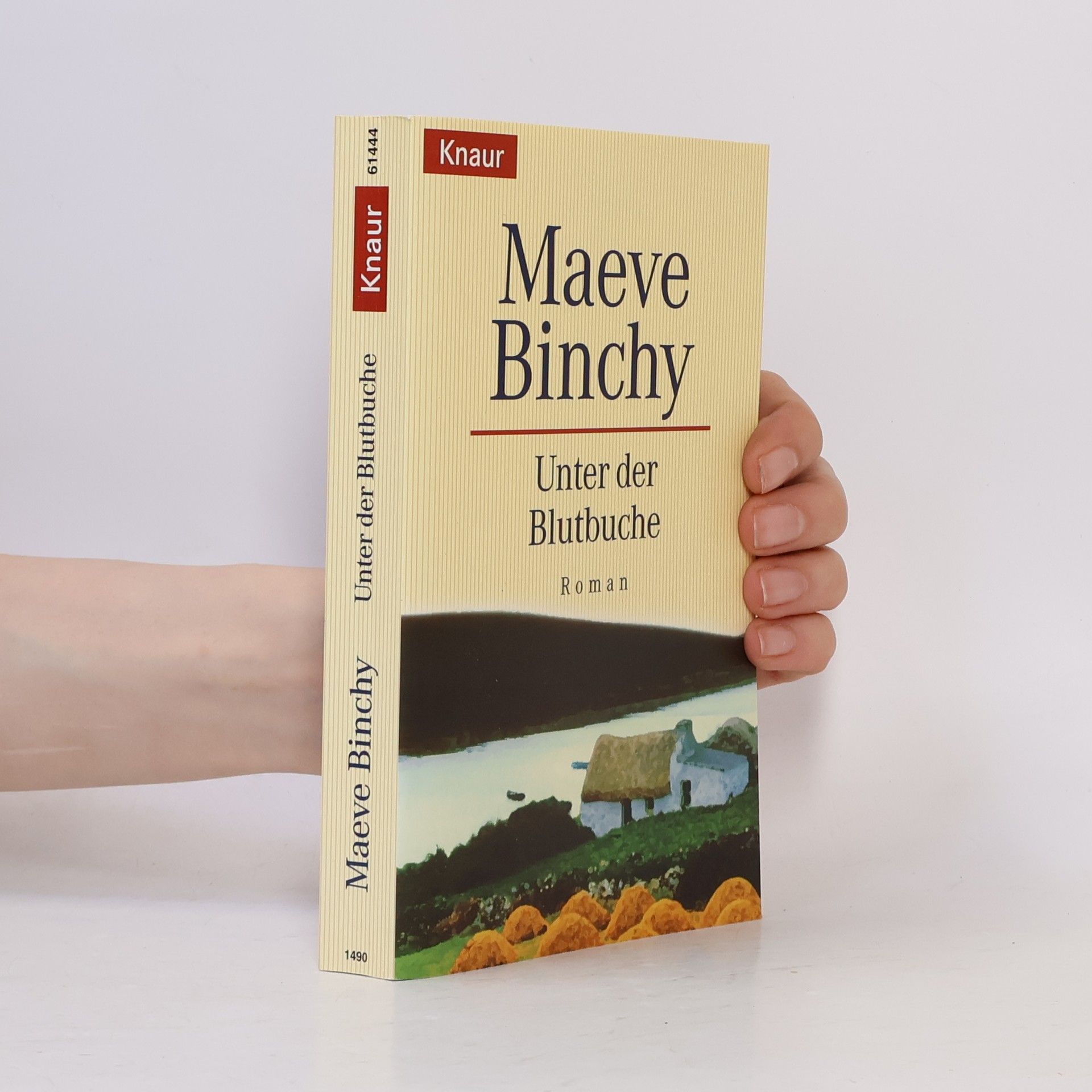 Maeve Binchy Unter der Blutbuche
