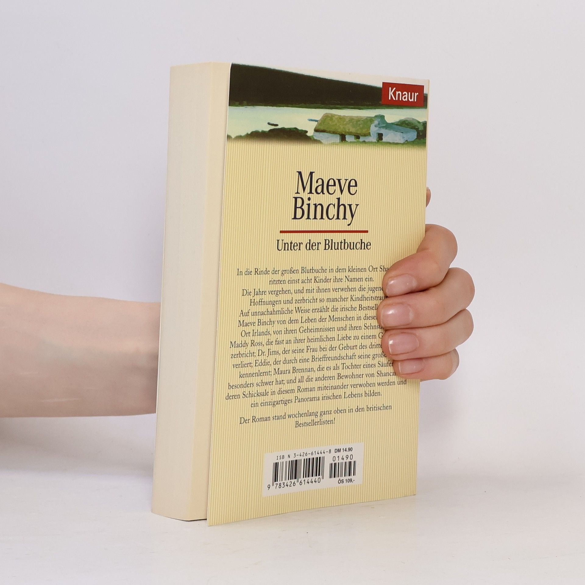 Maeve Binchy Unter der Blutbuche