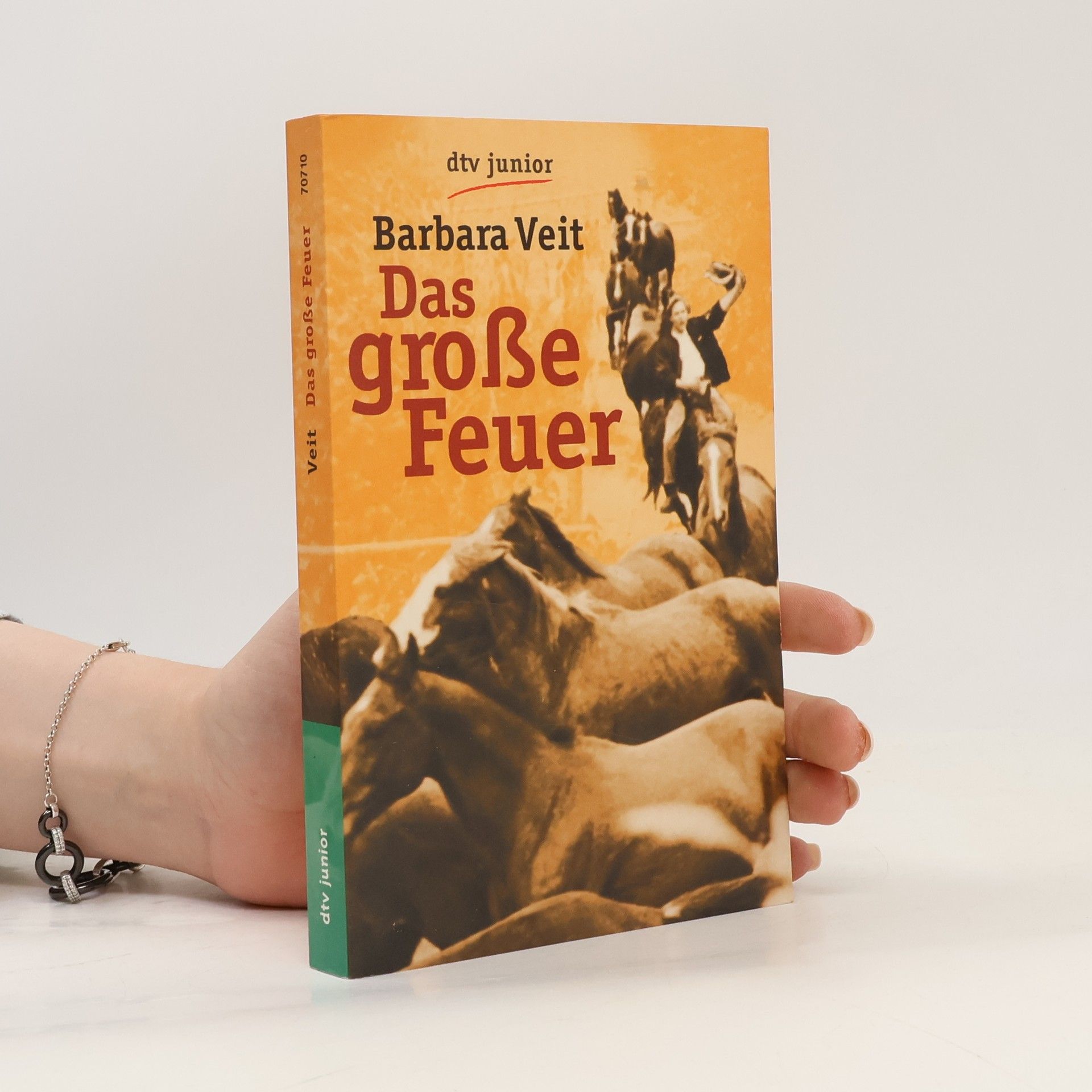 Barbara Veit Das große Feuer