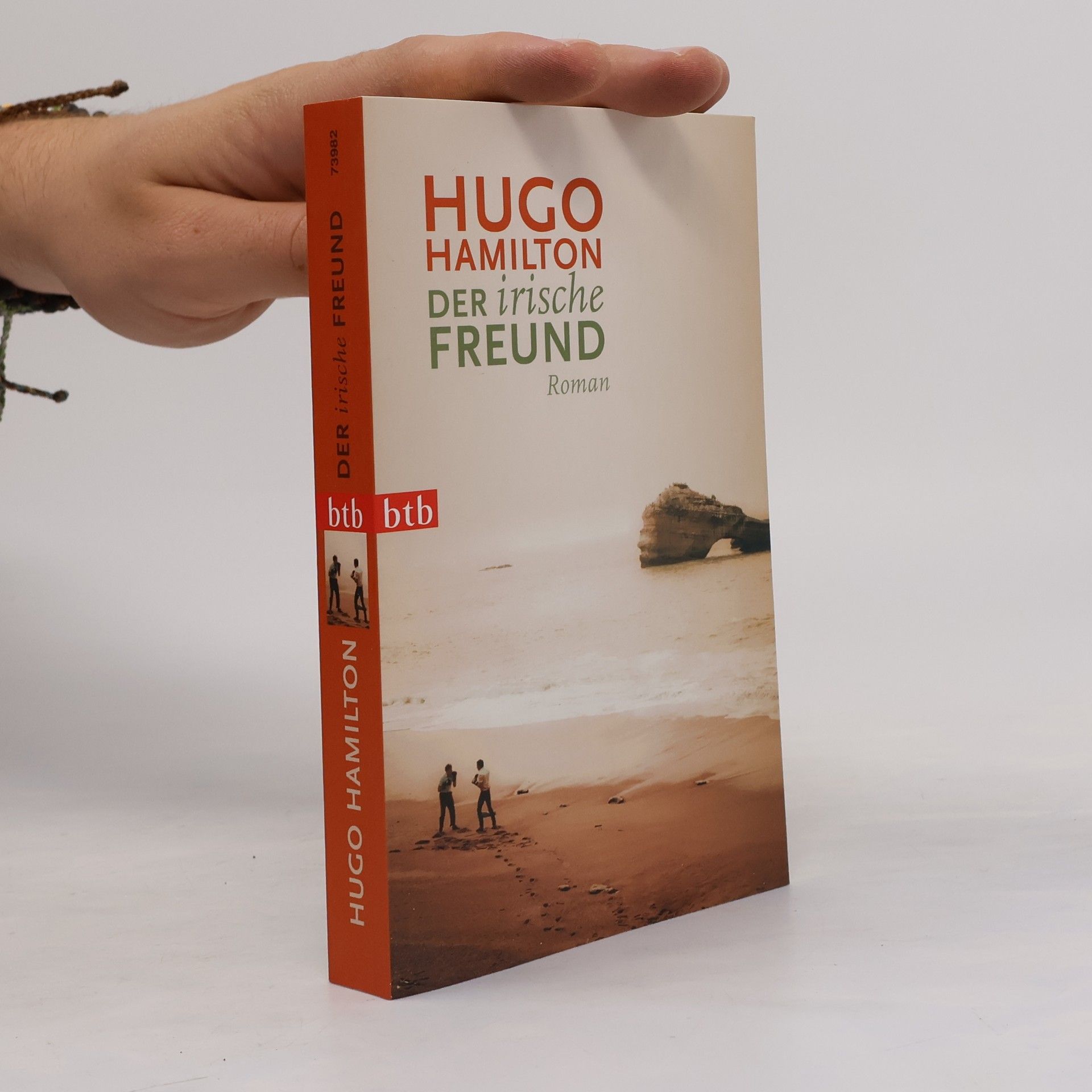 Hugo Hamilton Der irische Freund