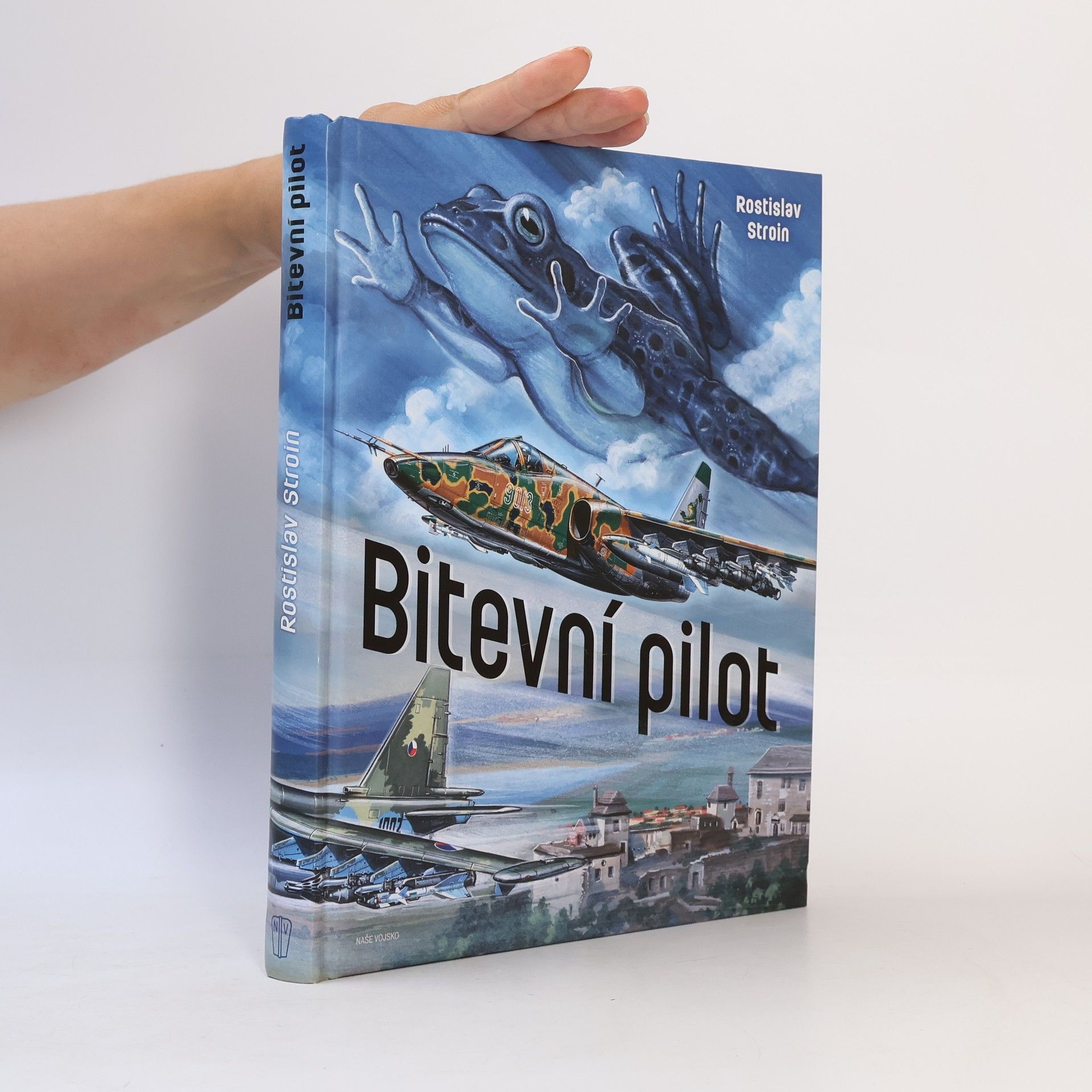 Rostislav Stroin Bitevní pilot