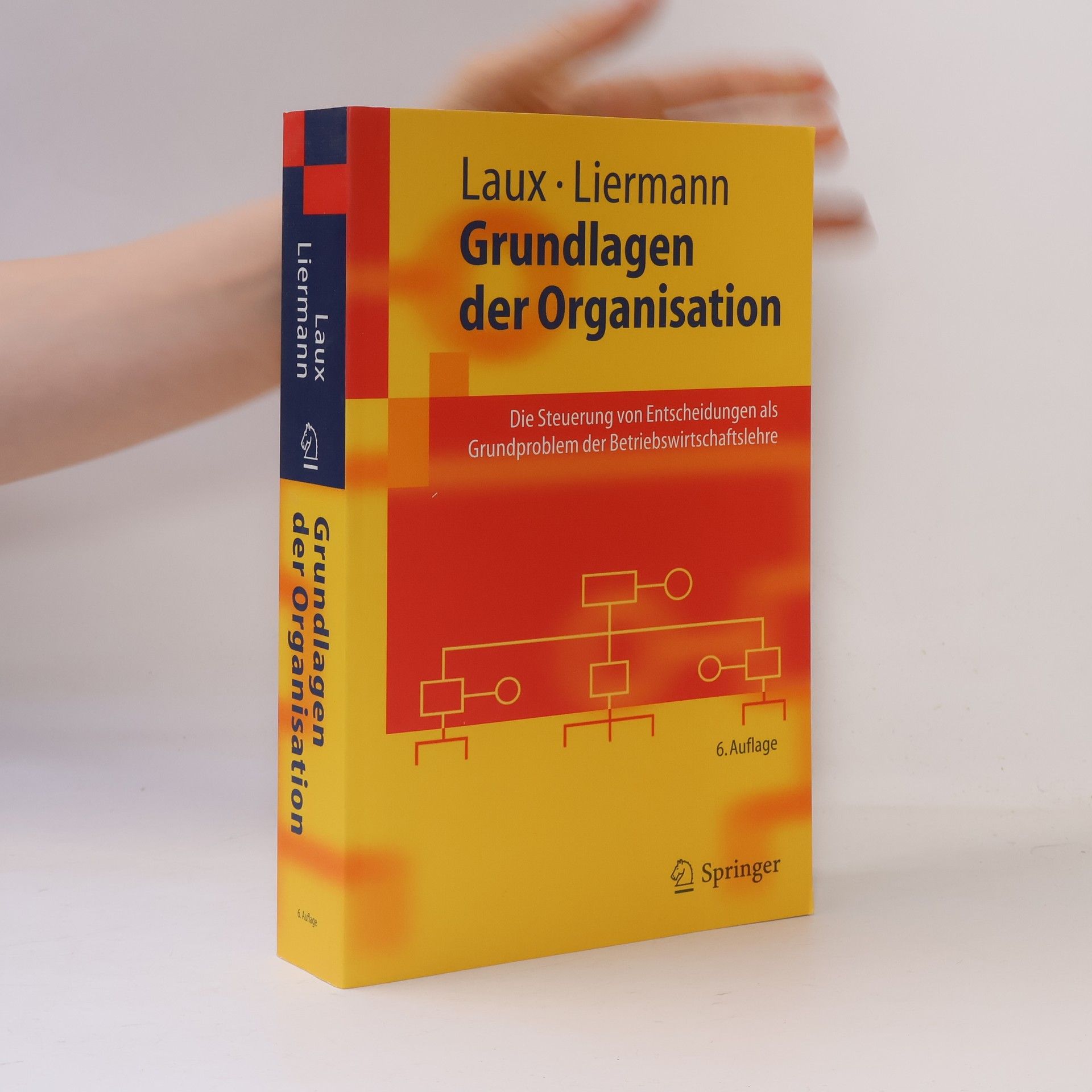 Helmut Laux Grundlagen der Organisation