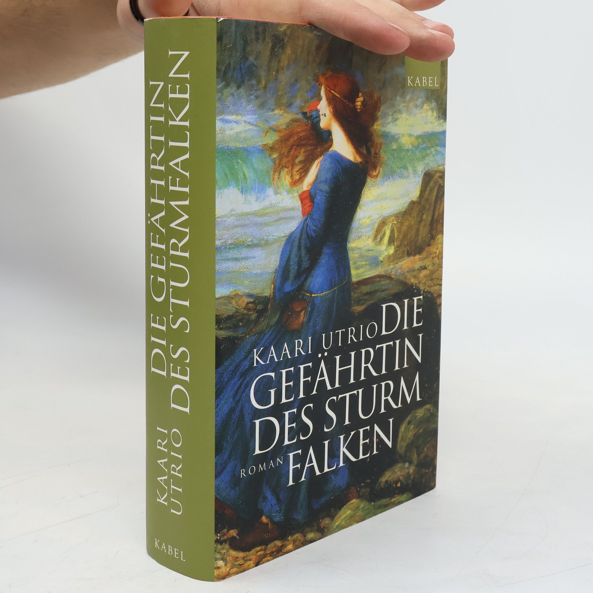 Kaari Utrio Die Gefährtin des Sturmfalken