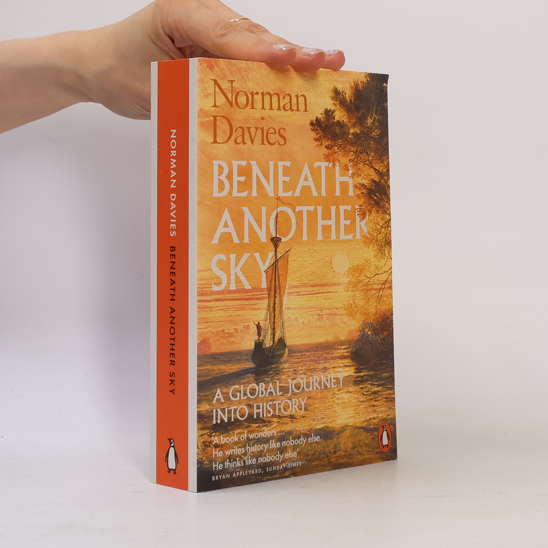 Norman Davies Beneath Another Sky: A Global Journey into History