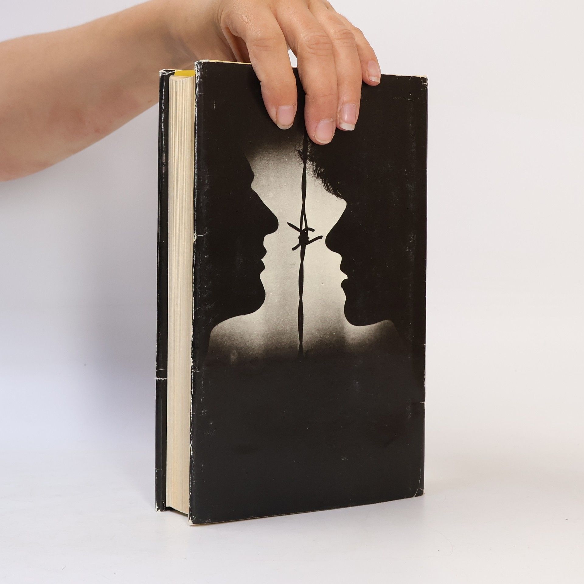 William Styron Sophiina volba