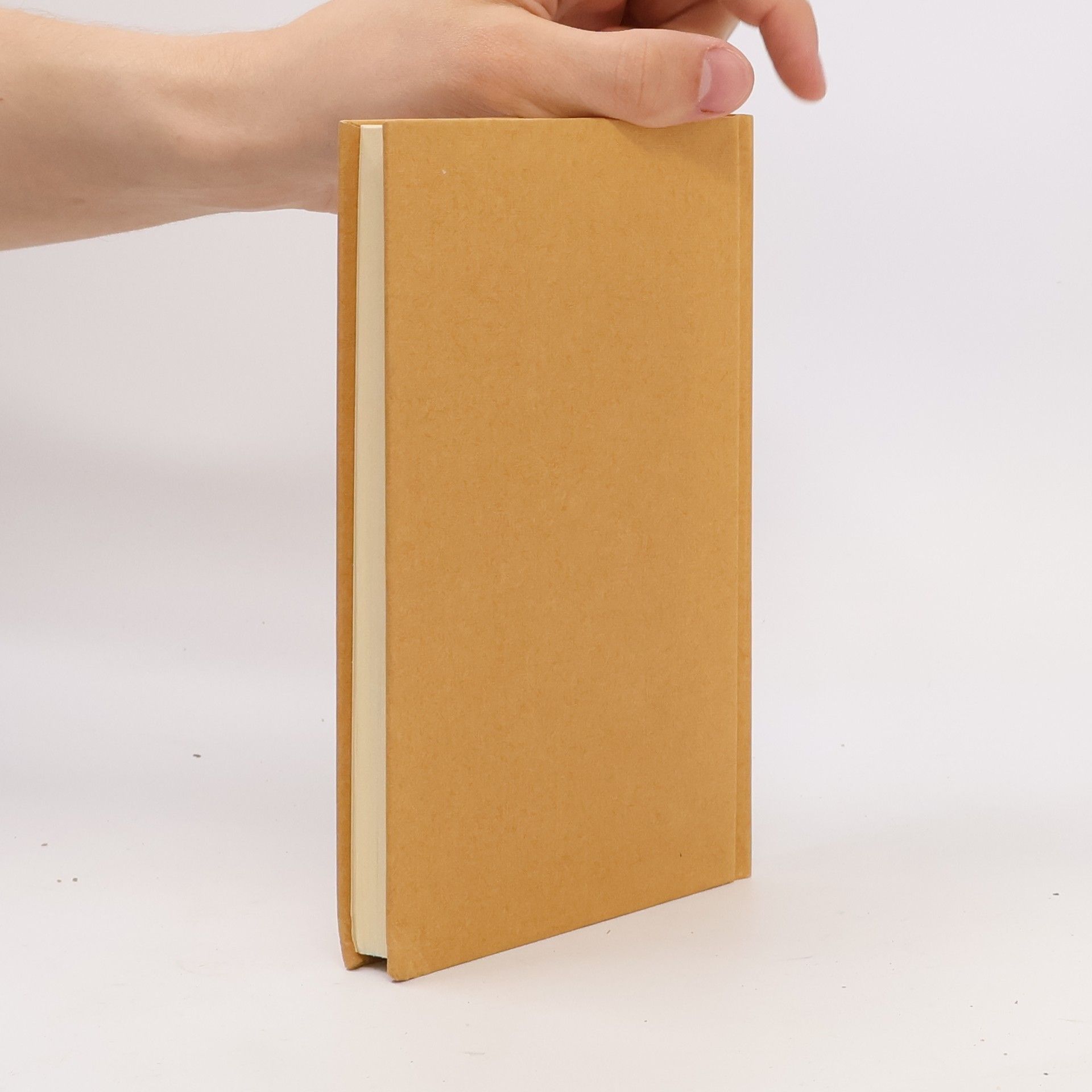 Agnes Miegel Mein Weihnachtsbuch
