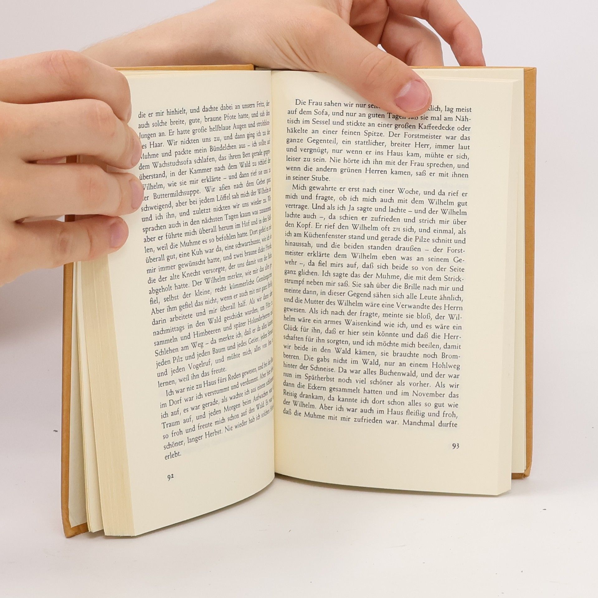 Agnes Miegel Mein Weihnachtsbuch