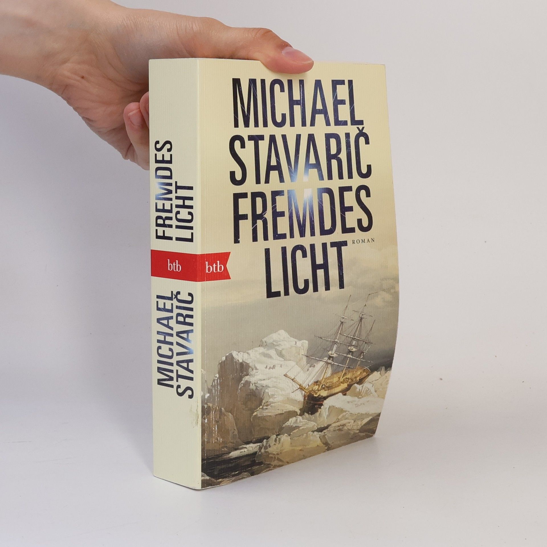 Michael Stavarič Fremdes Licht