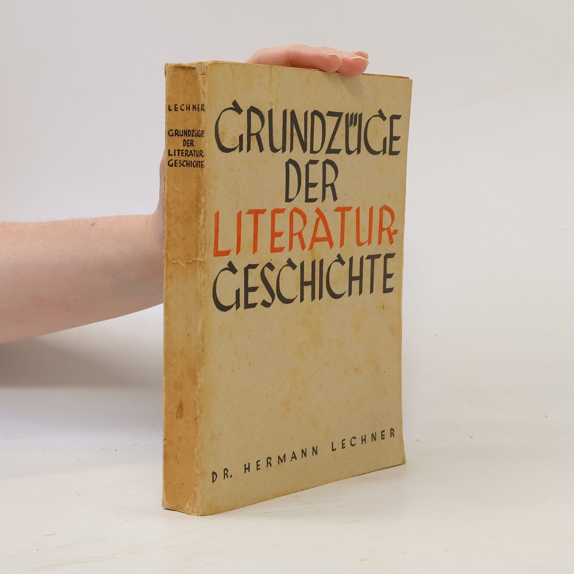 Hermann Lechner Grundzüge der Literaturgeschichte