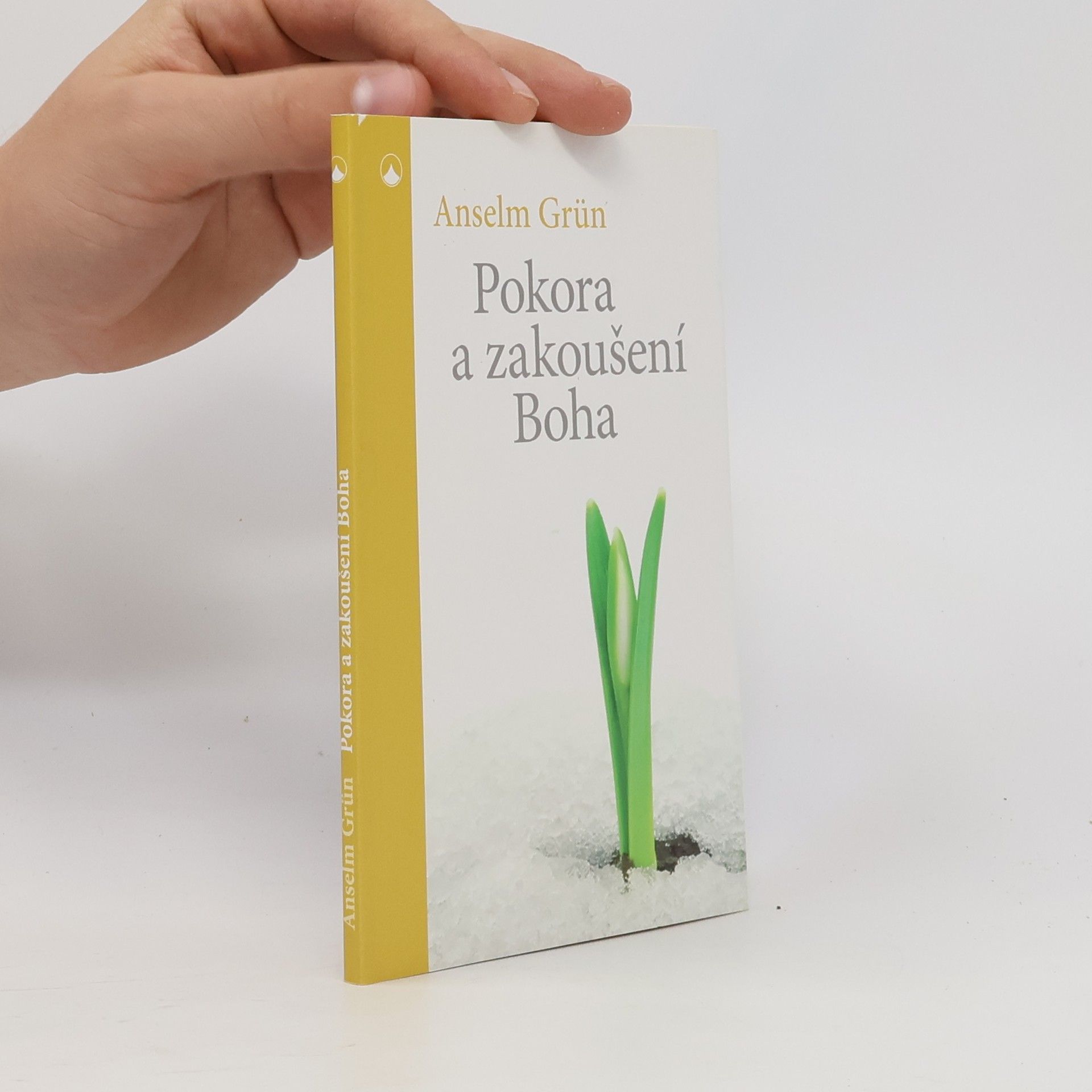 Anselm Grün Pokora a zakoušení Boha