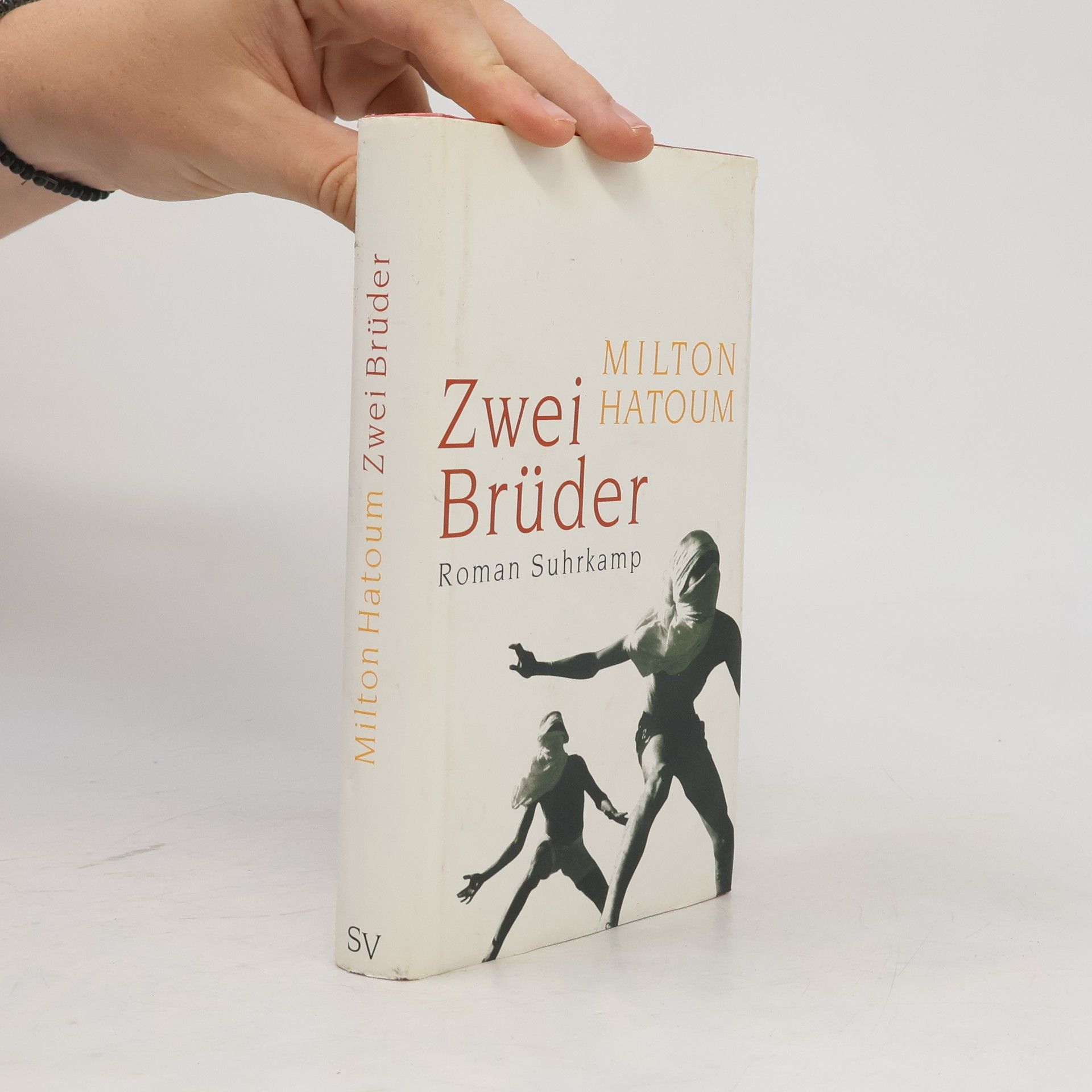 Milton Hatoum Zwei Brüder