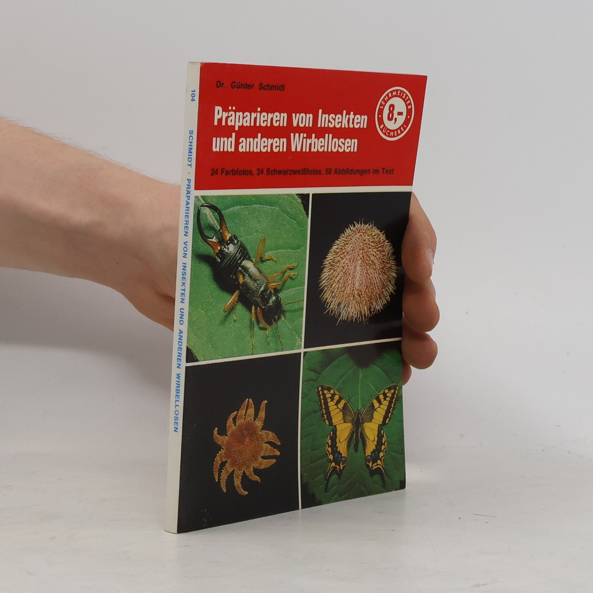 Günter Schmidt Präparieren von Insekten und anderen Wirbellosen