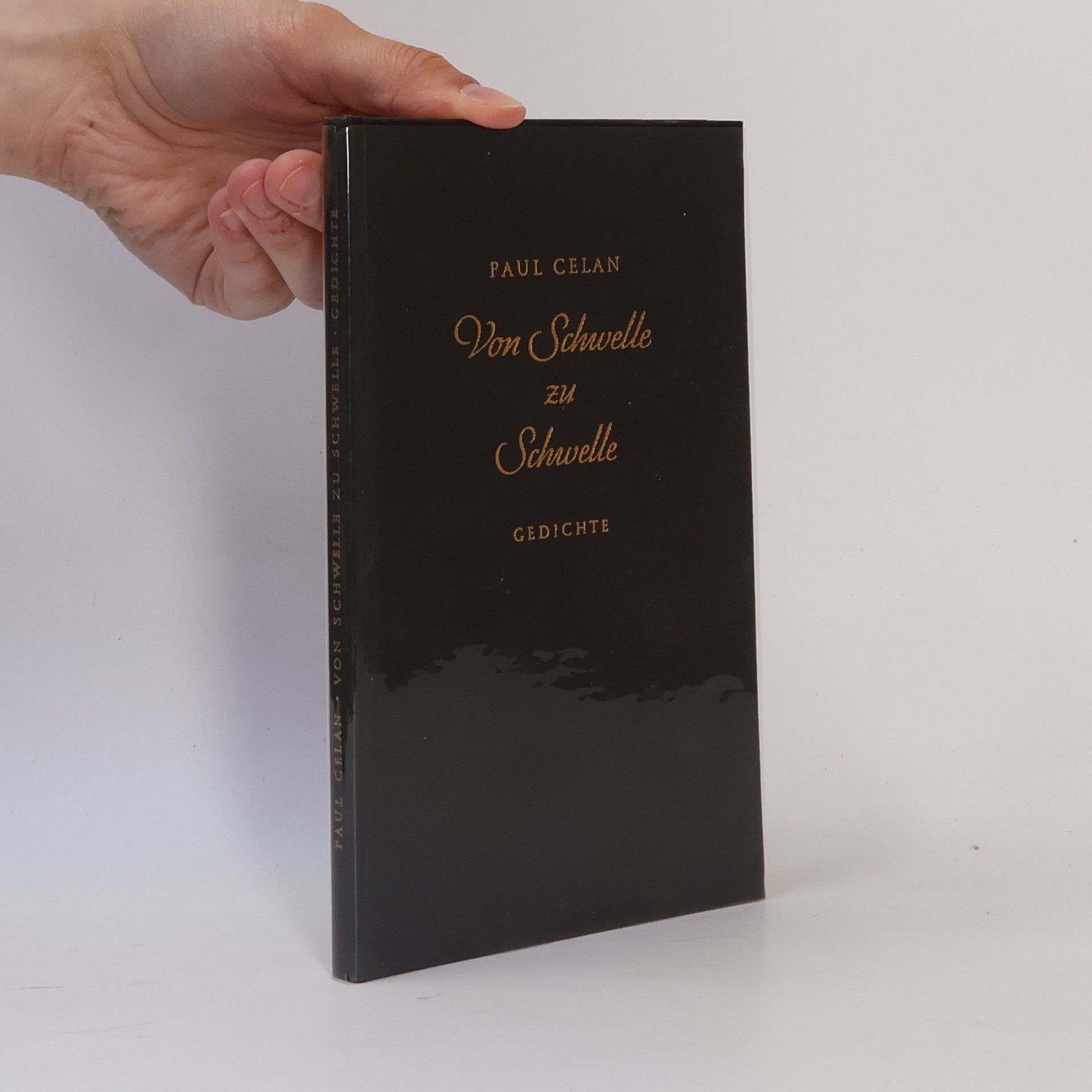 Paul Celan Von Schwelle zu Schwelle