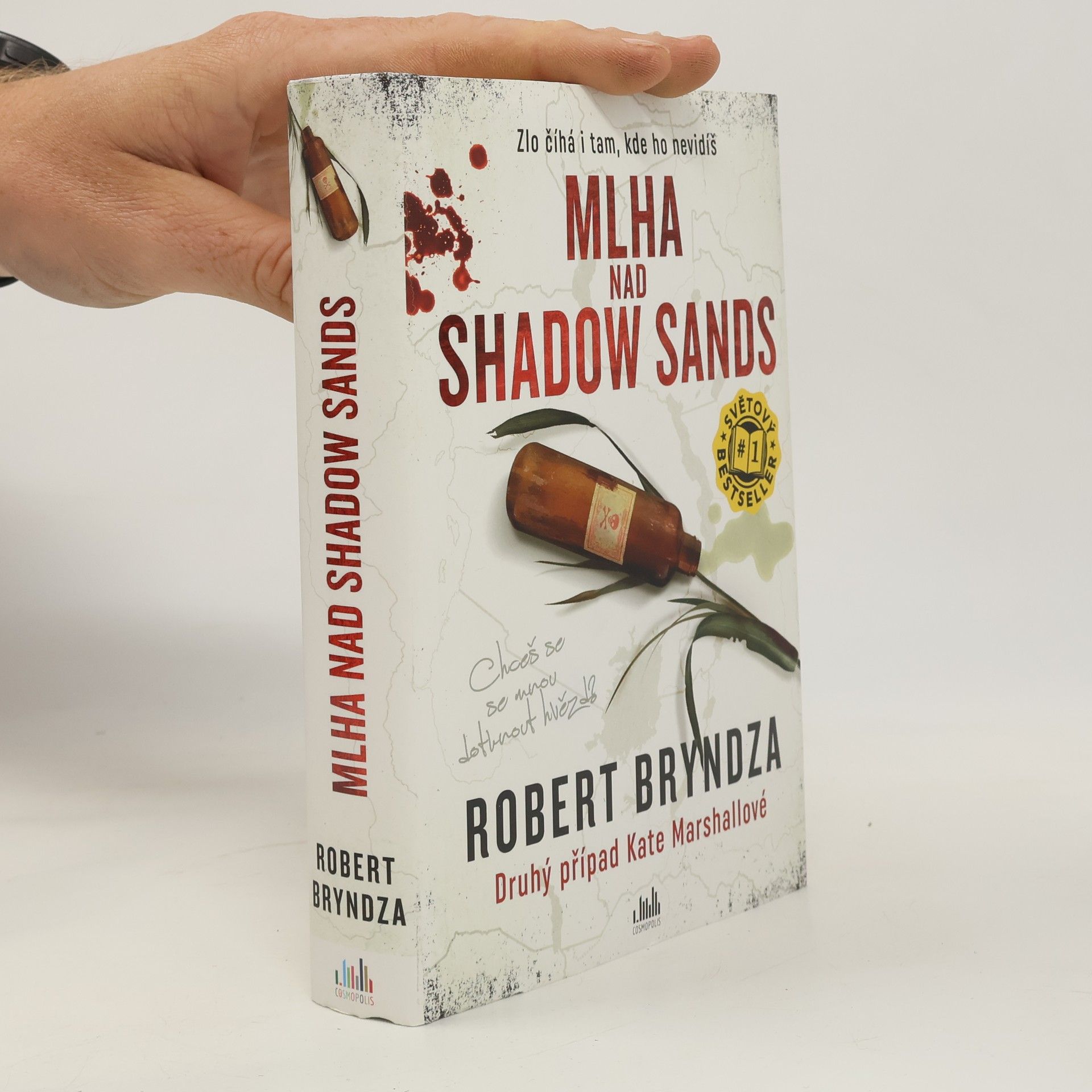 Robert Bryndza Mlha nad Shadow Sands