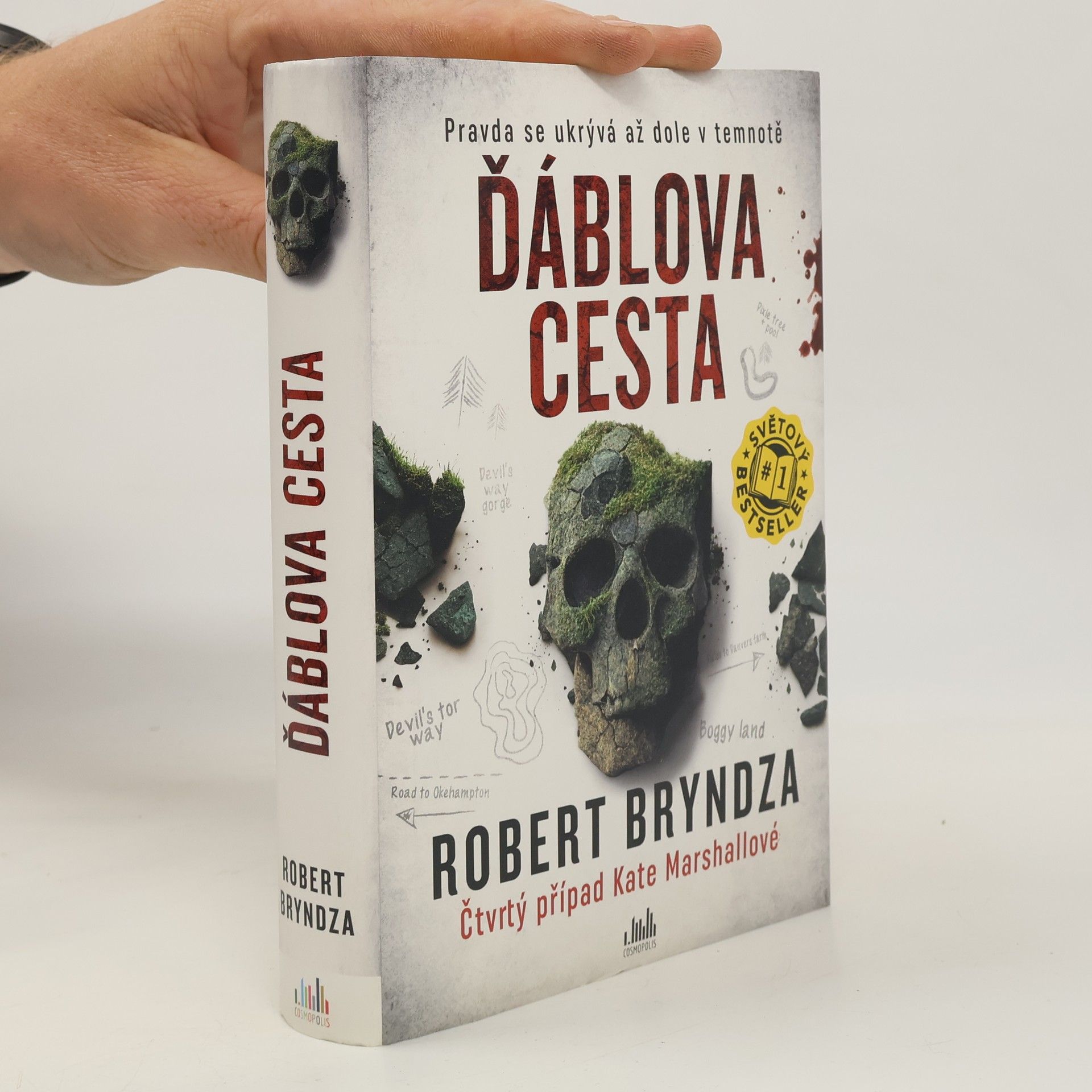 Robert Bryndza Ďáblova cesta