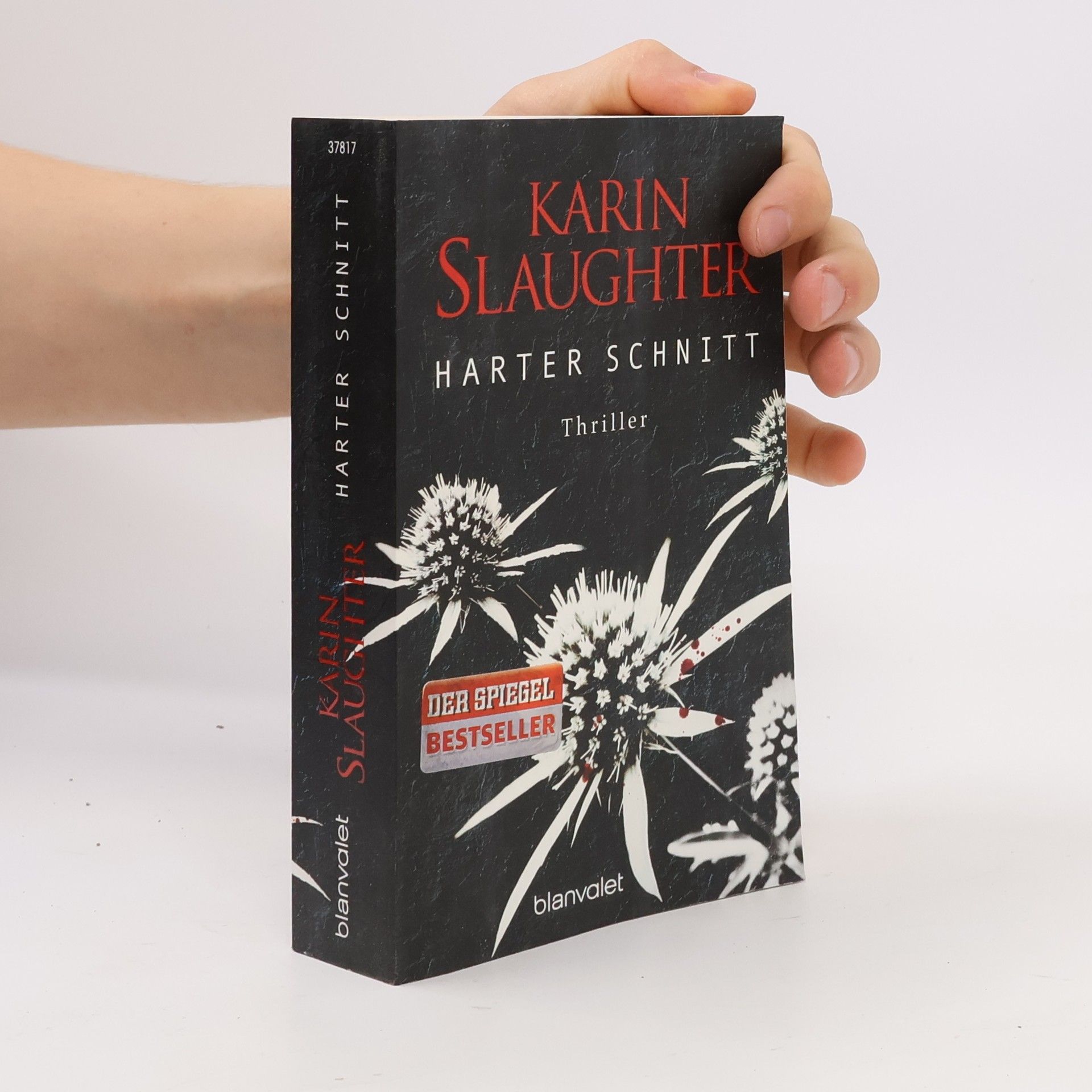 Karin Slaughter Harter Schnitt