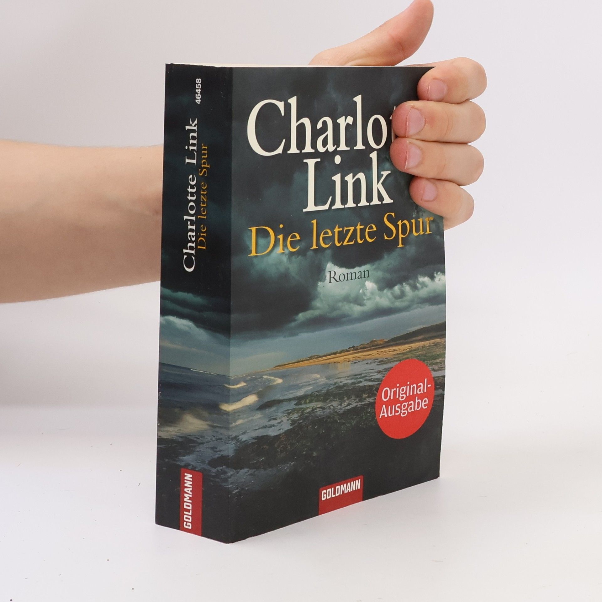 Charlotte Link Die letzte Spur