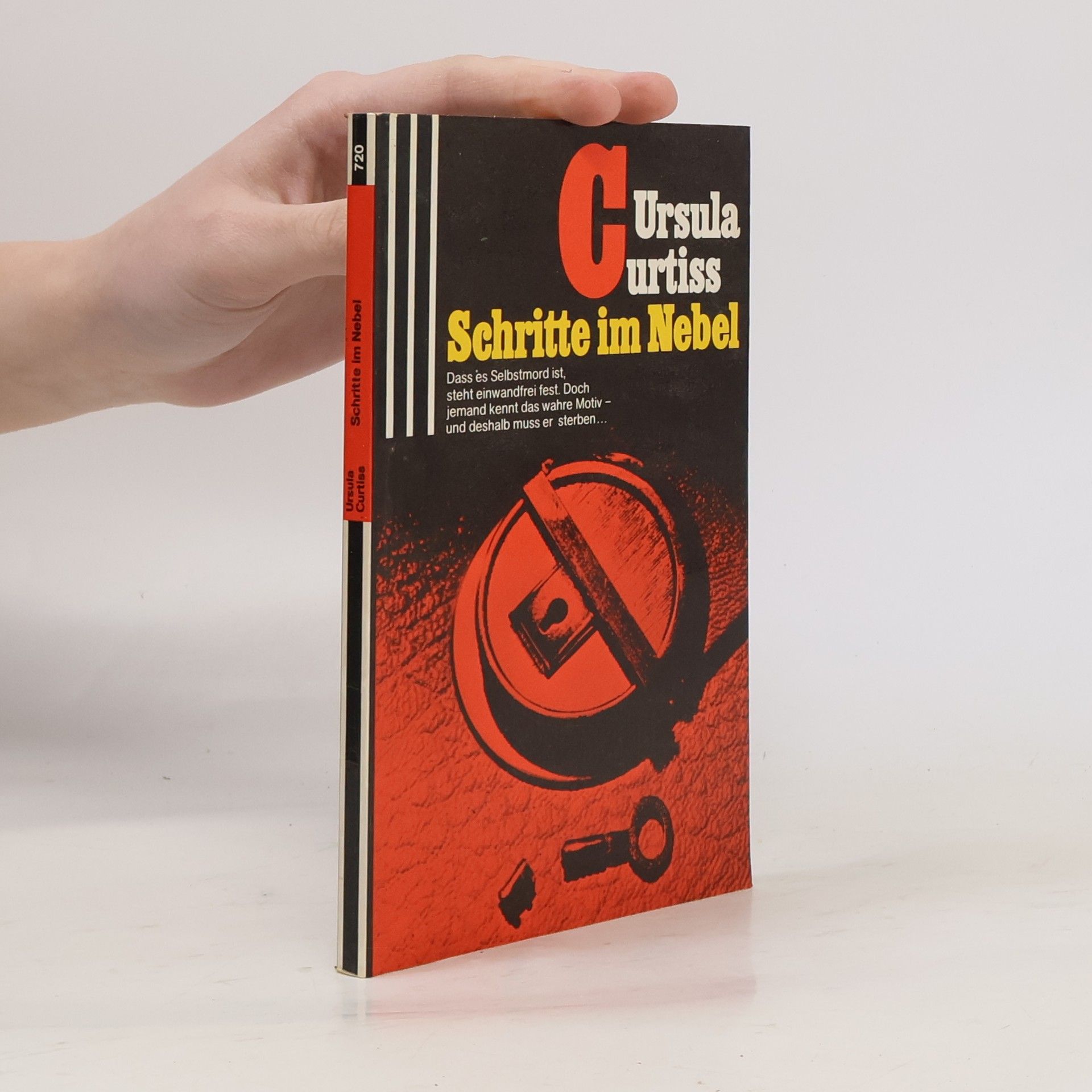 Ursula Curtiss Schritte im Nebel