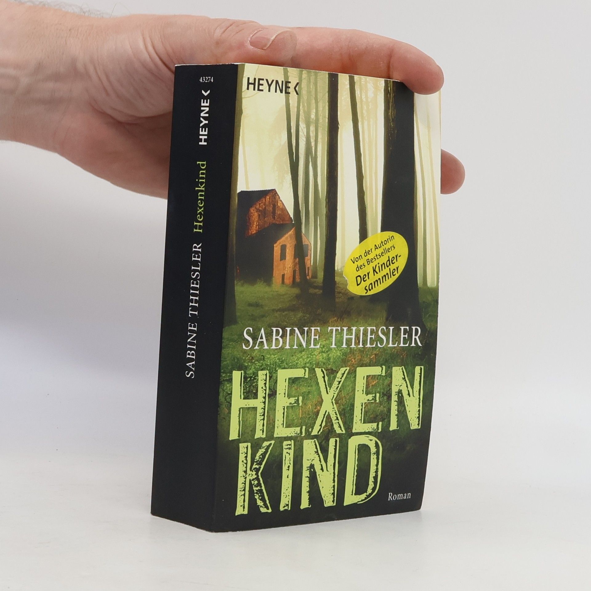 Sabine Thiesler Hexenkind - Roman