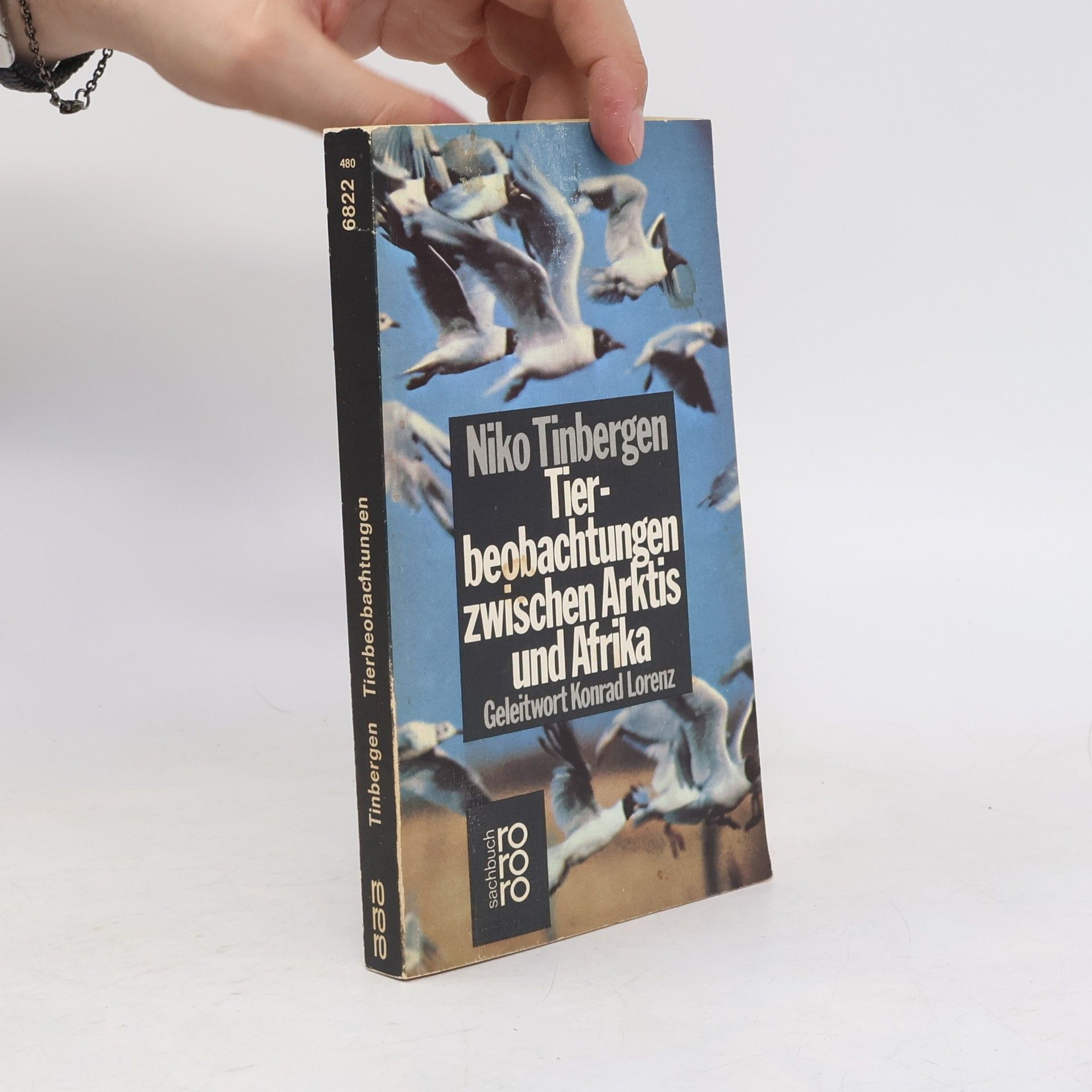 Nikolaas Tinbergen Tierbeobachtungen zwischen Arktis und Afrika