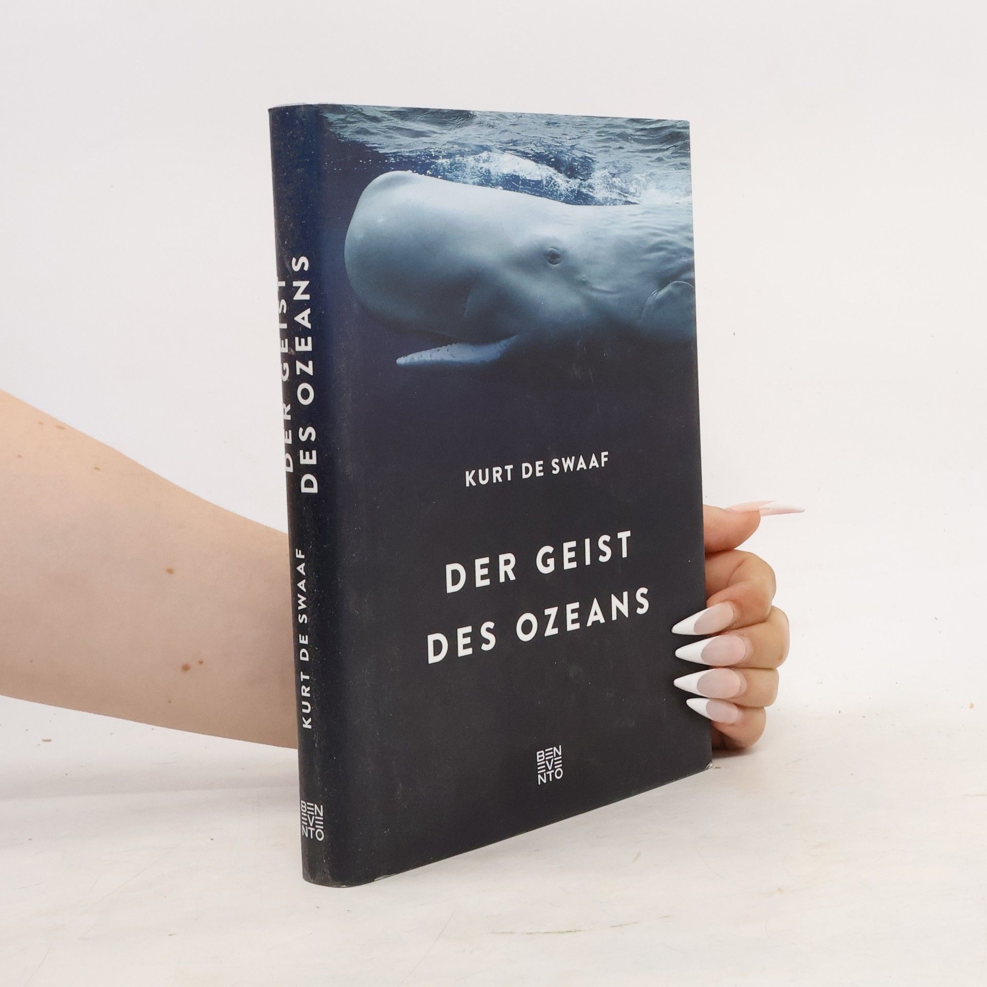 Kurt de Swaaf Der Geist des Ozeans
