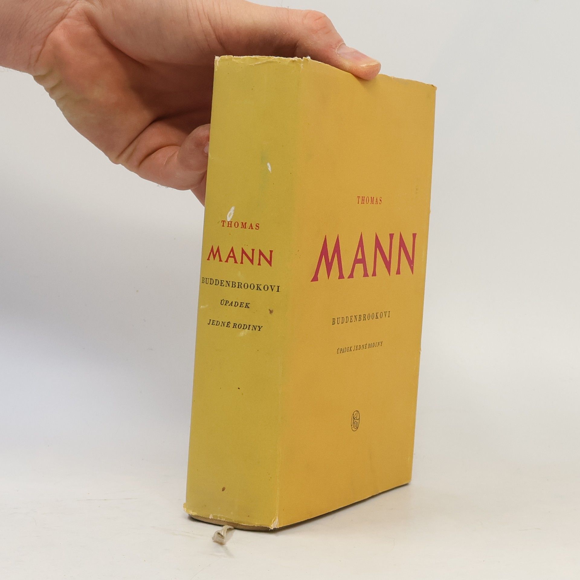 Thomas Mann Buddenbrookovi úpadek jedné rodiny