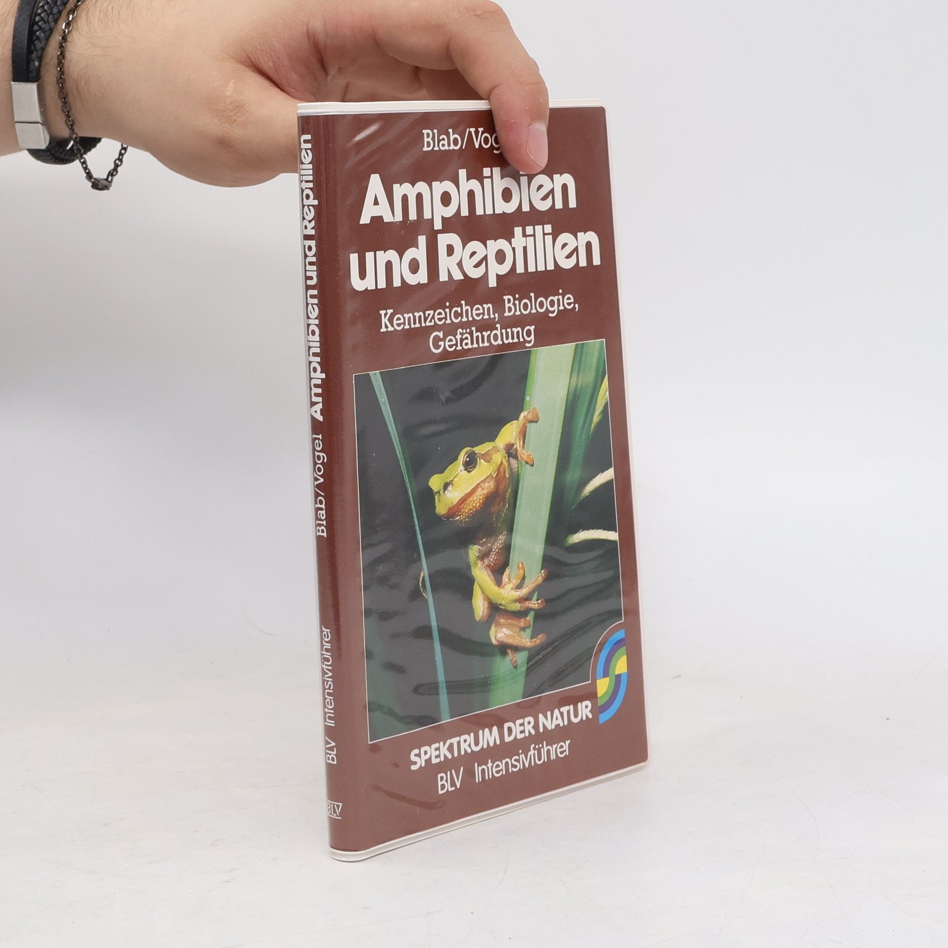 Josef Blab Amphibien und Reptilien