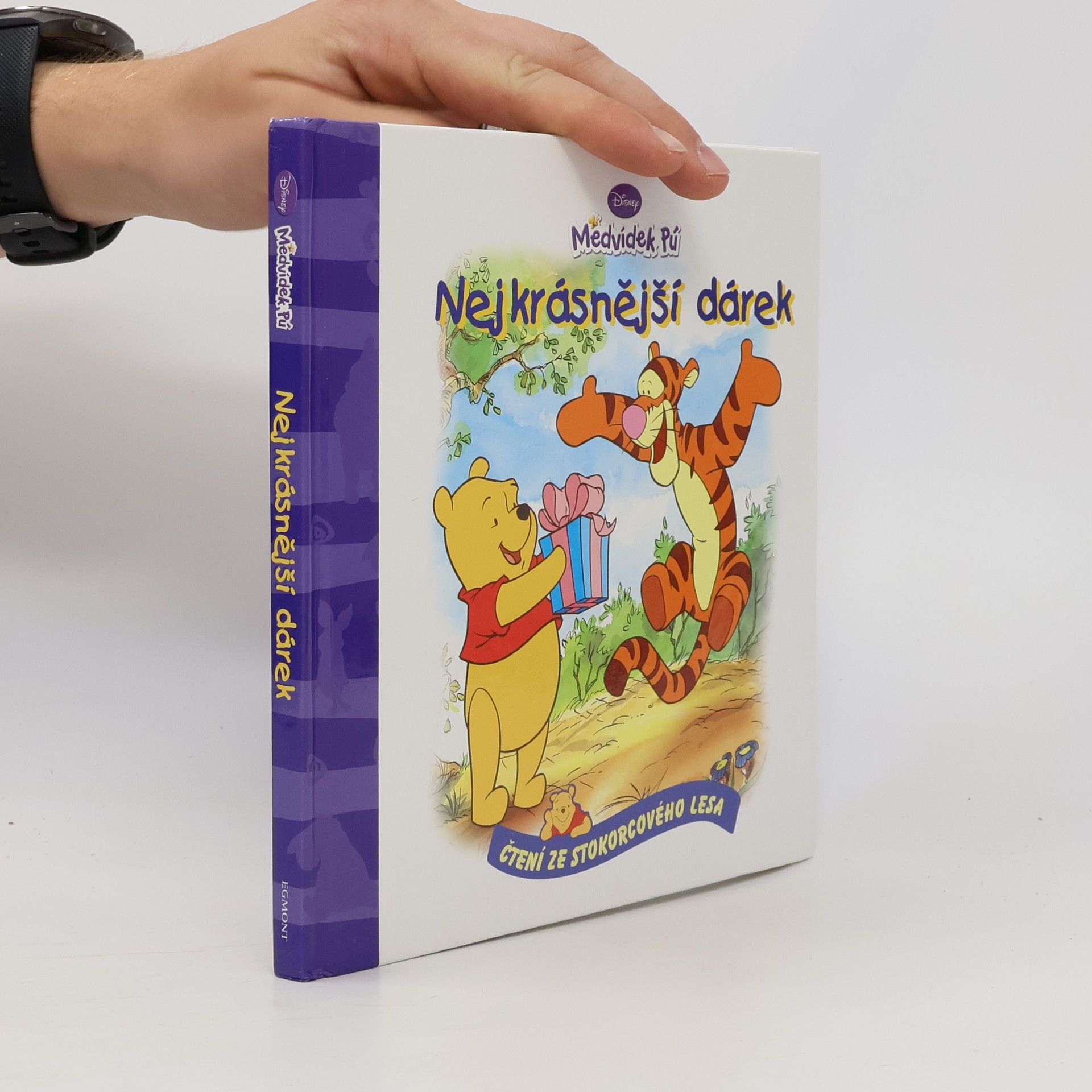 Walt Disney Medvídek Pú - Nejkrásnější dárek