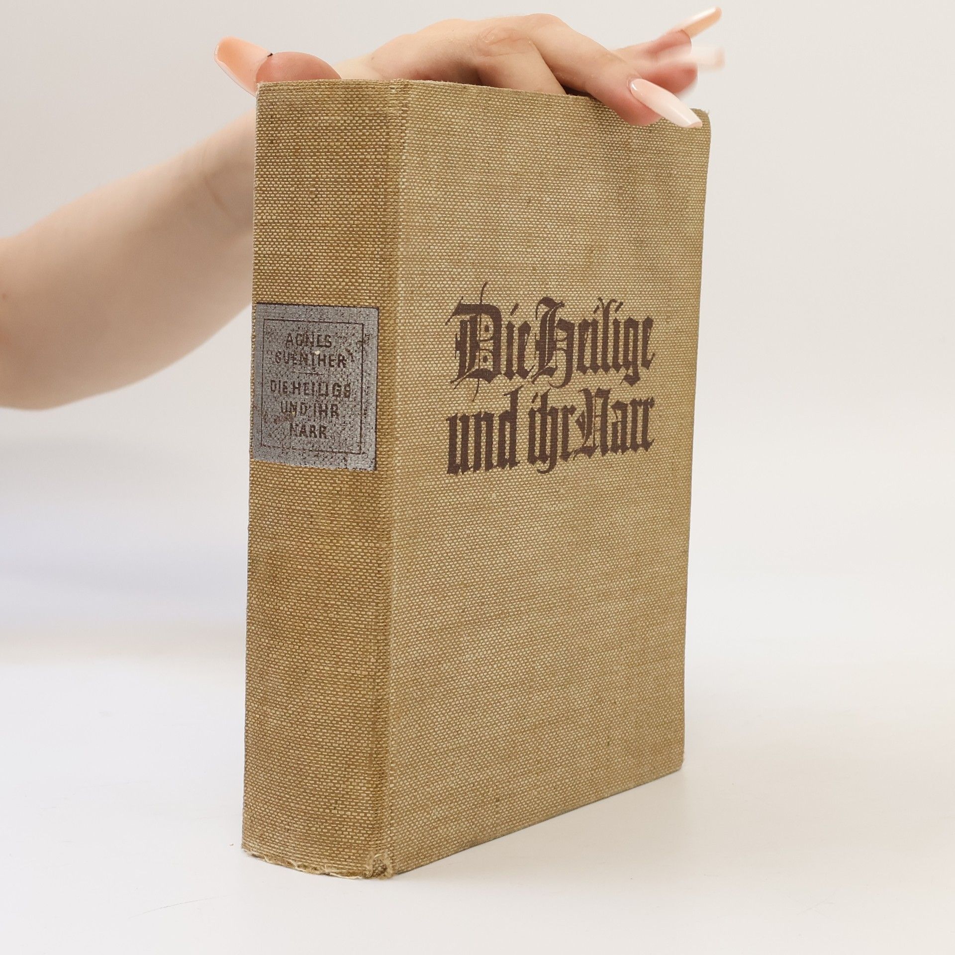 Agnes Günther Die Heilige und ihr Narr