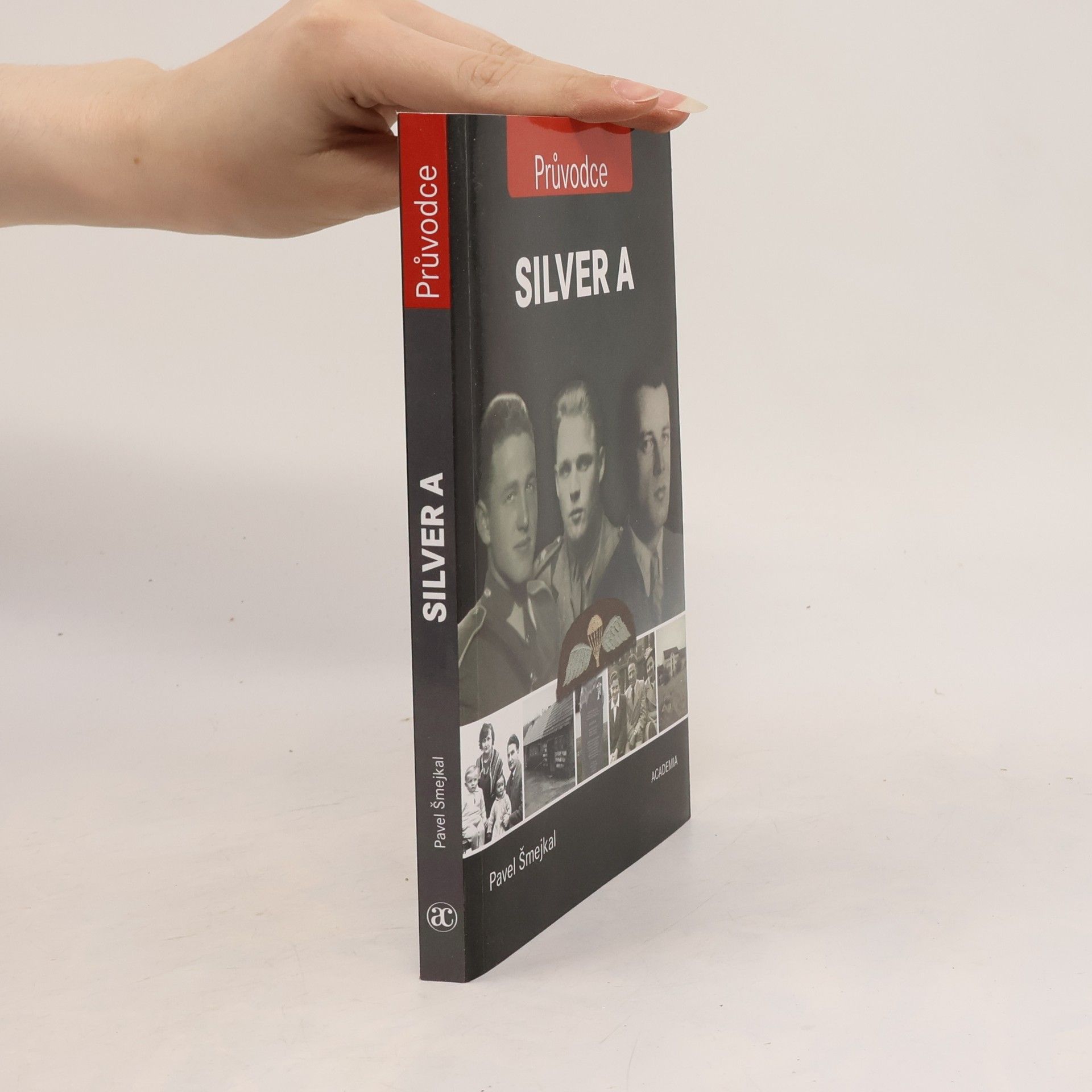 Pavel Šmejkal Silver A