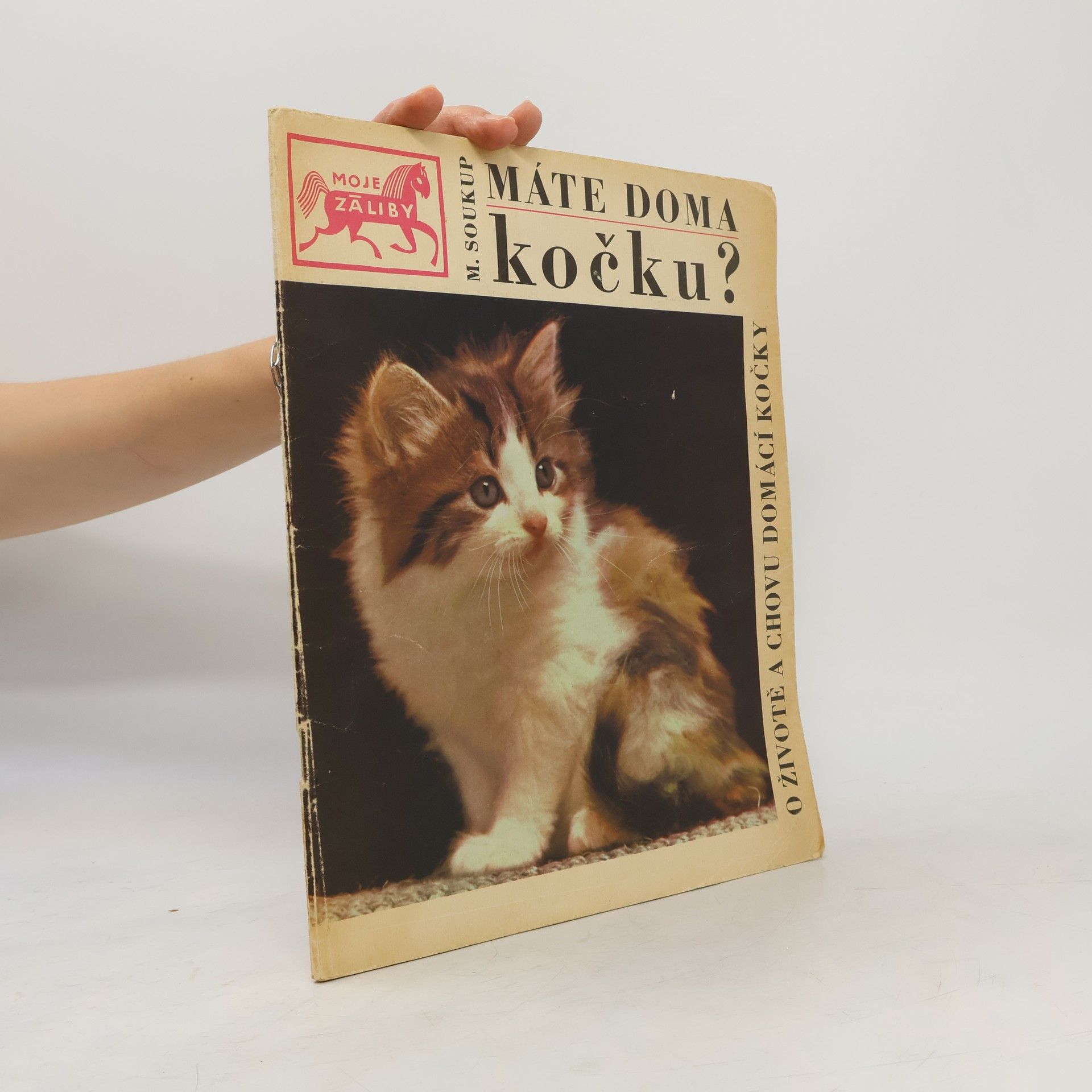 Autorenkollektiv Moje záliby. Máte doma kočku?
