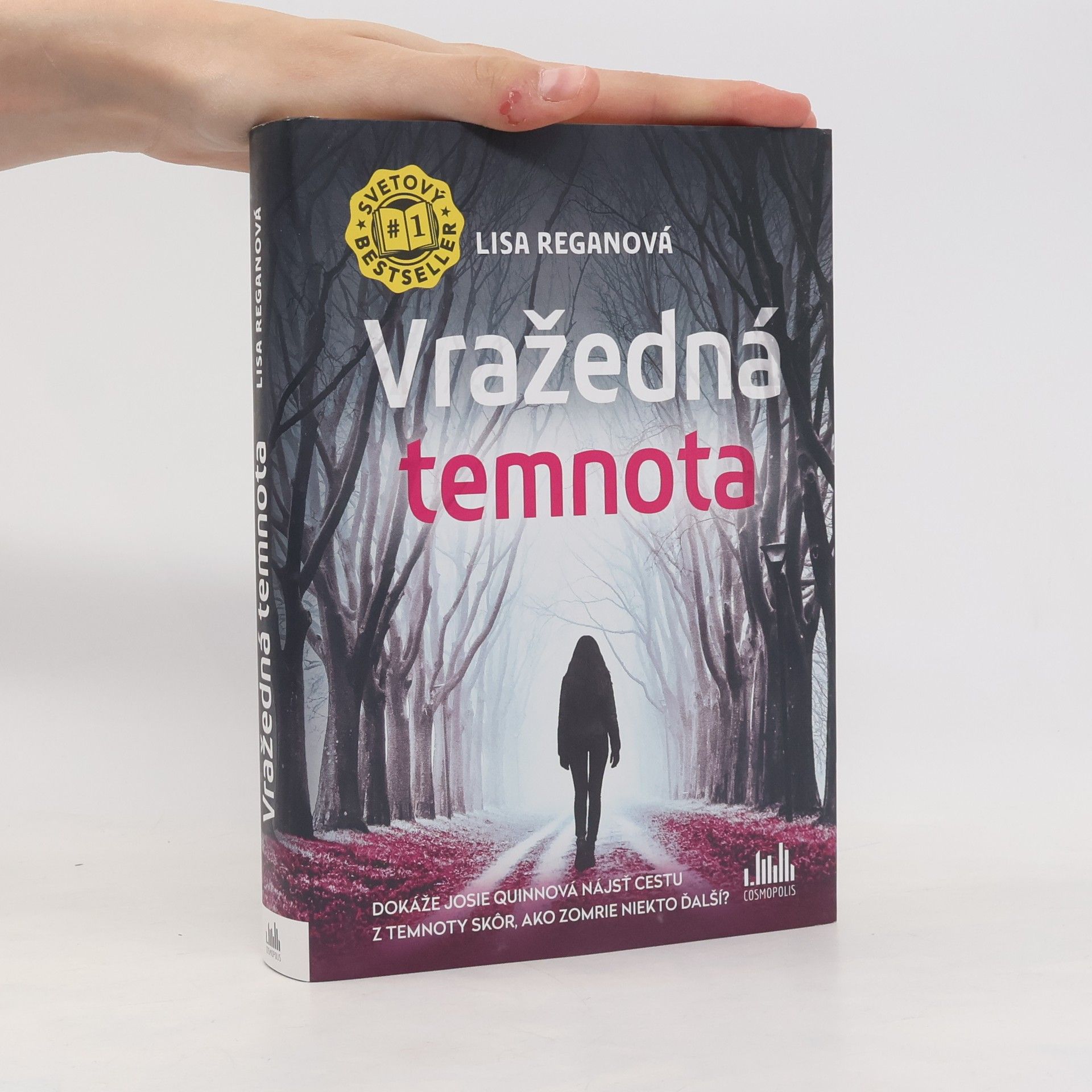 Lisa Regan Vražedná temnota