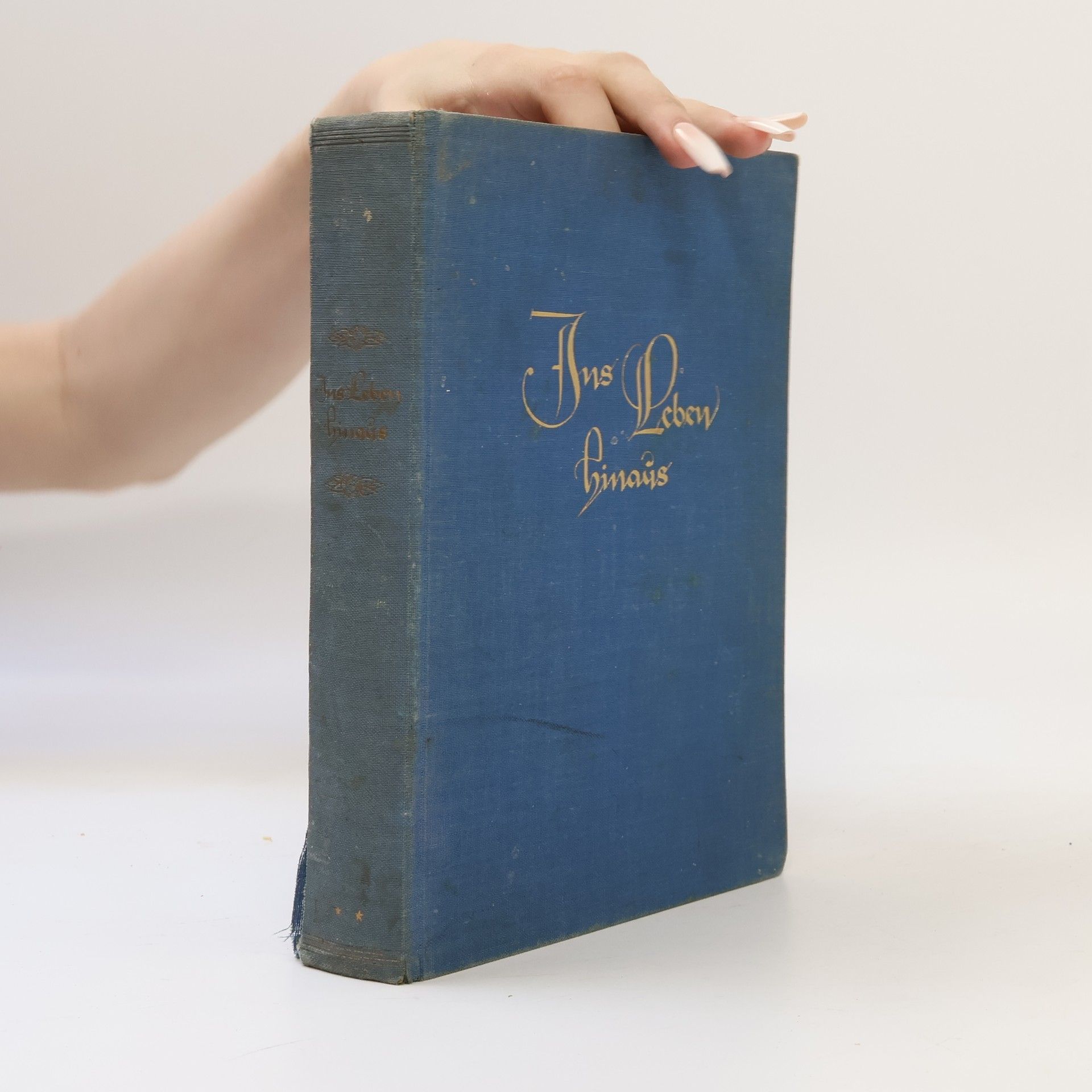 Collectif d'auteurs Ins Leben hinaus